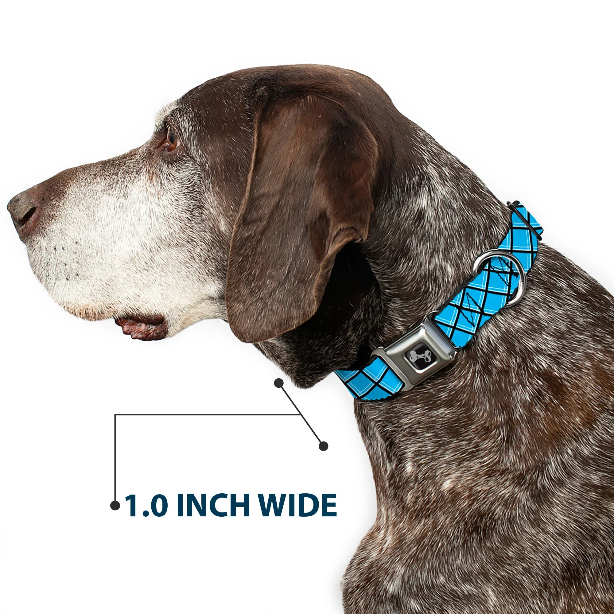 Dog Bone Seatbelt Buckle Collar - Wire Grid Baby Blue Black/White - Image 6