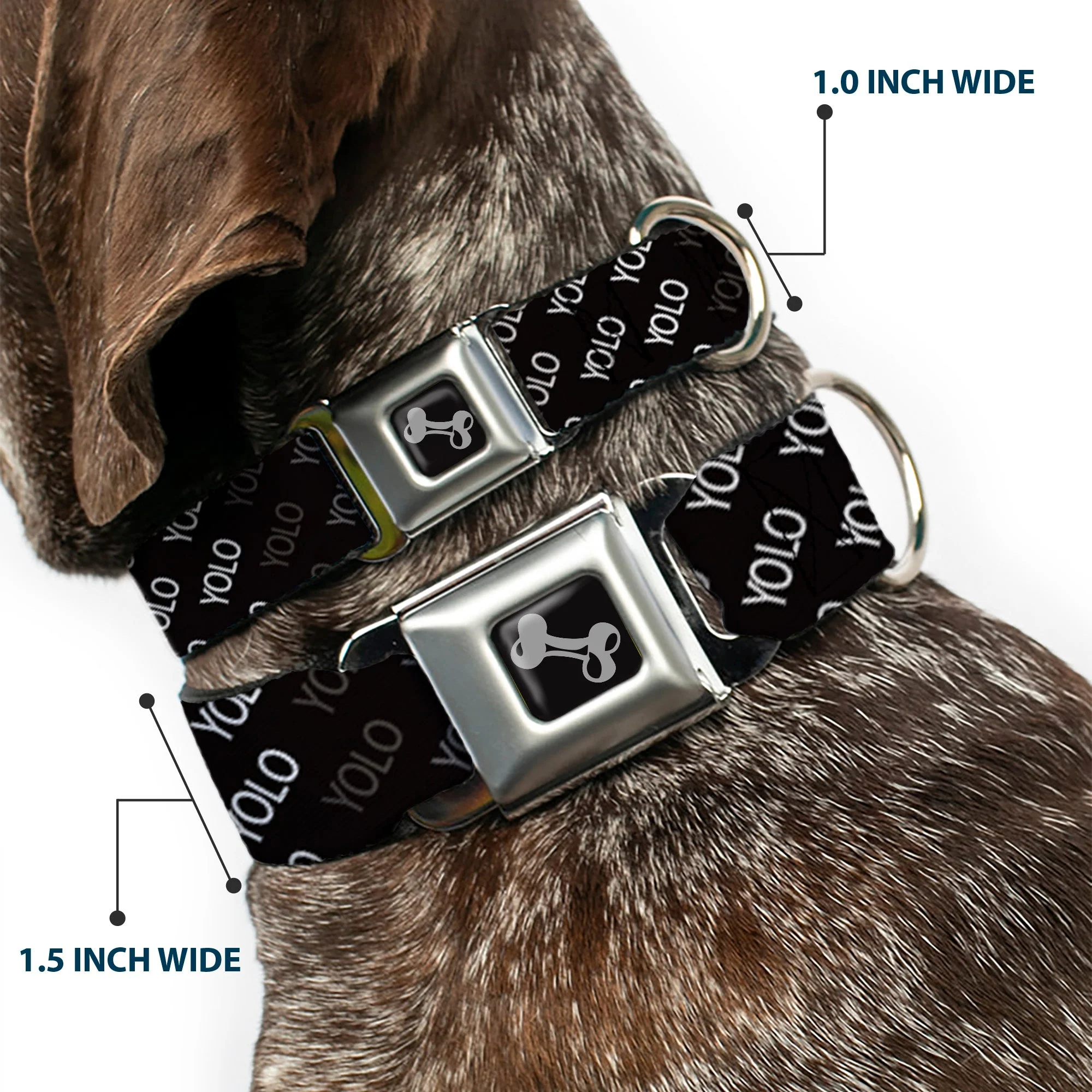 Dog Bone Seatbelt Buckle Collar - YOLO Diagonal Black/Gray/White - Image 2