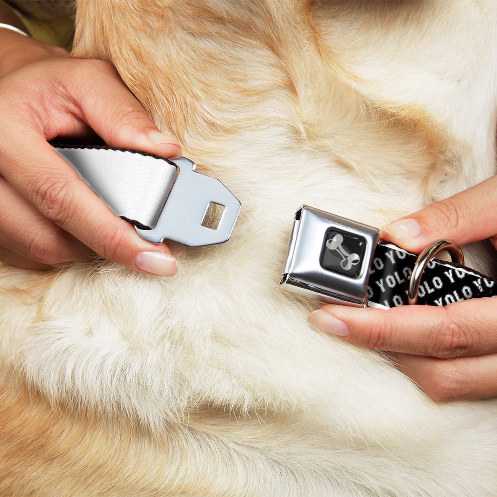 Dog Bone Seatbelt Buckle Collar - YOLO Diagonal Black/Gray/White - Image 8