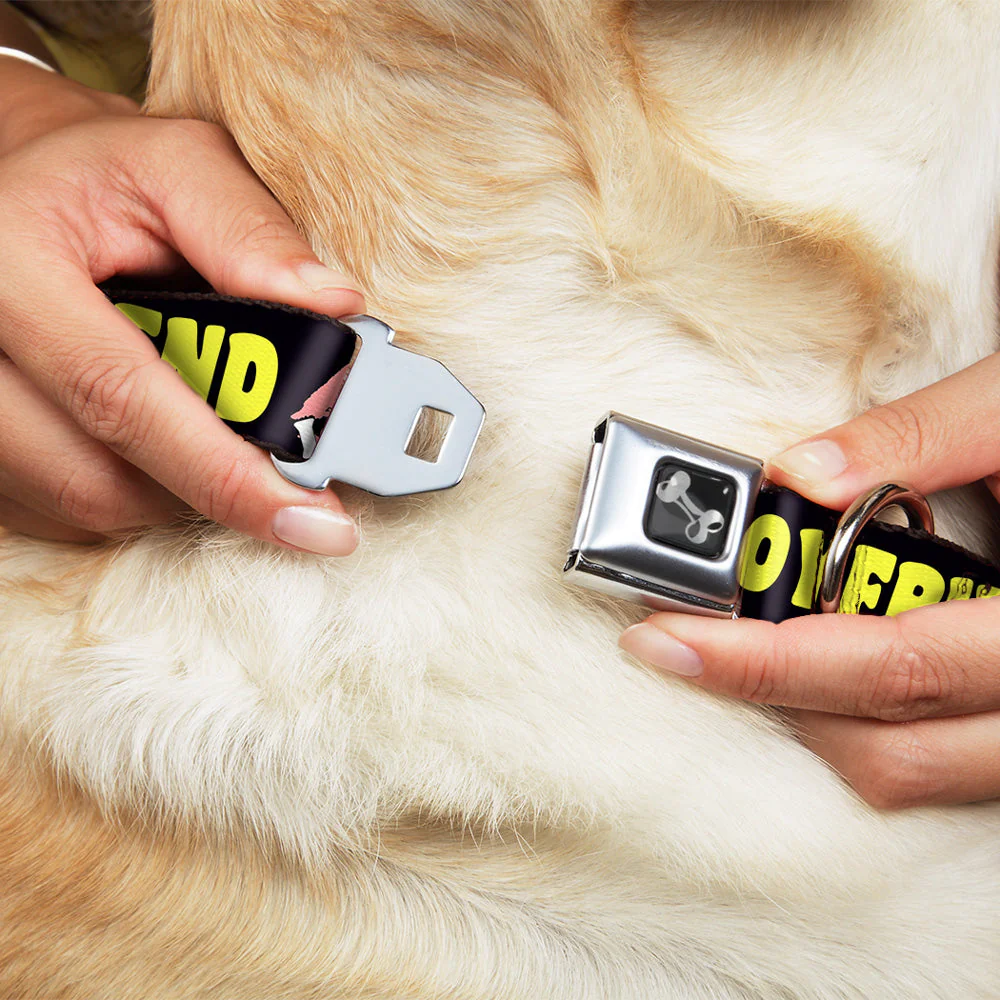Dog Bone Seatbelt Buckle Collar - YOUR BOYFRIEND LOVES ME w/Kiss Black/Neon - Image 8