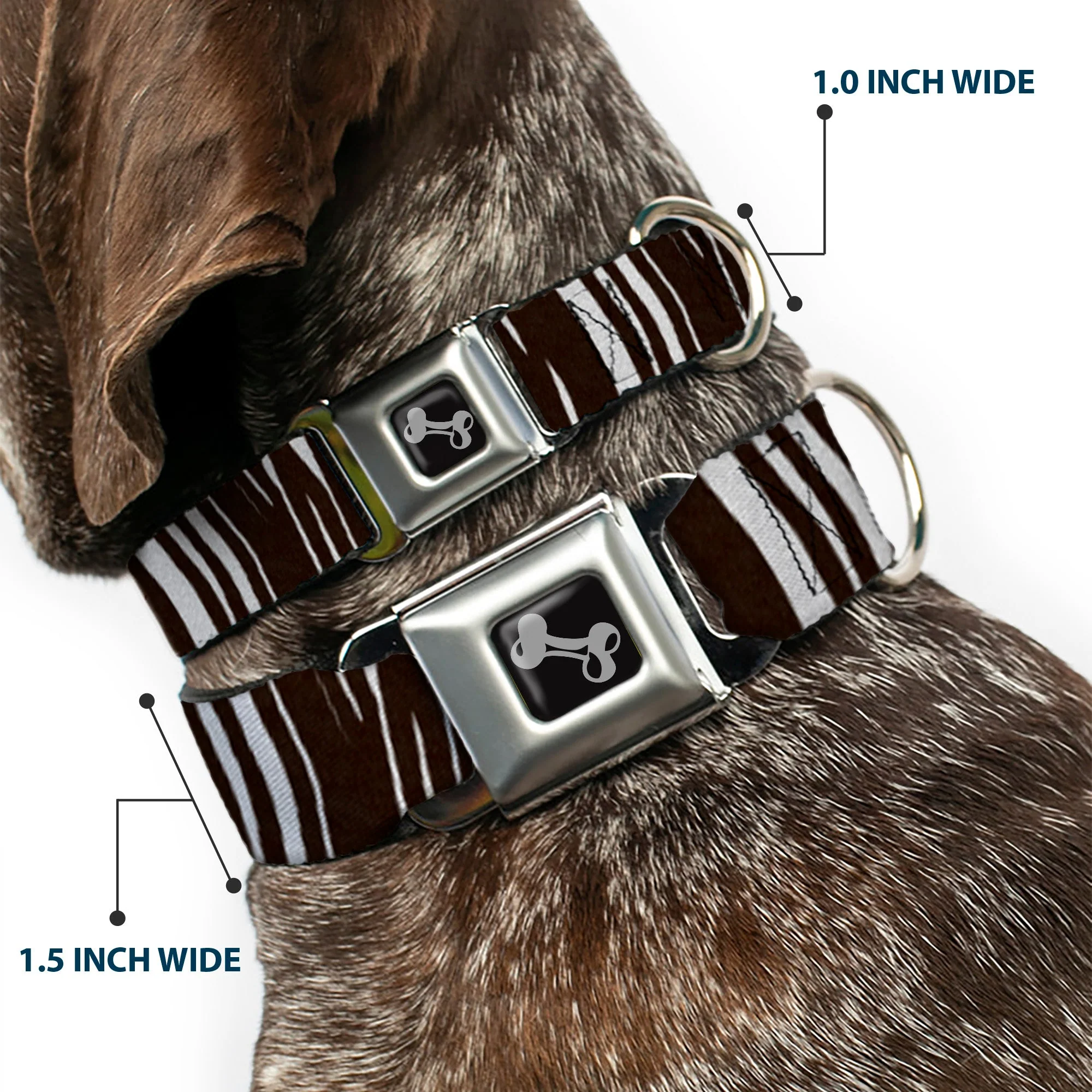Dog Bone Seatbelt Buckle Collar - Zebra - Image 2