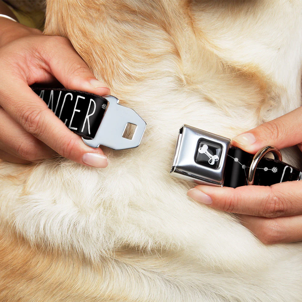 Dog Bone Seatbelt Buckle Collar - Zodiac CANCER/Constellation Black/White - Image 8