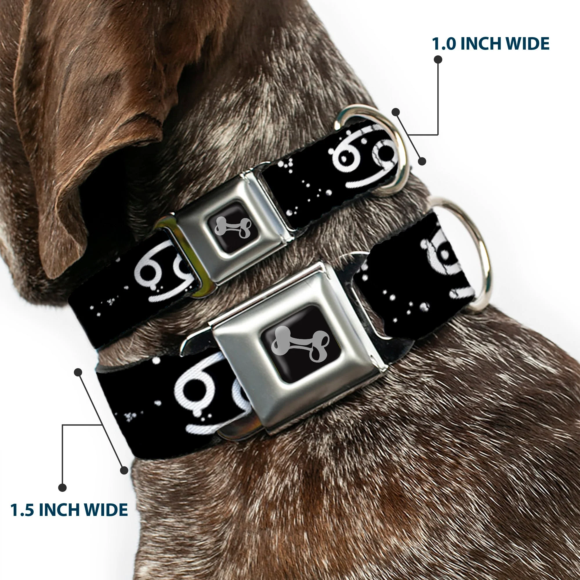 Dog Bone Seatbelt Buckle Collar - Zodiac Cancer Symbol/Constellations Black/White - Image 2