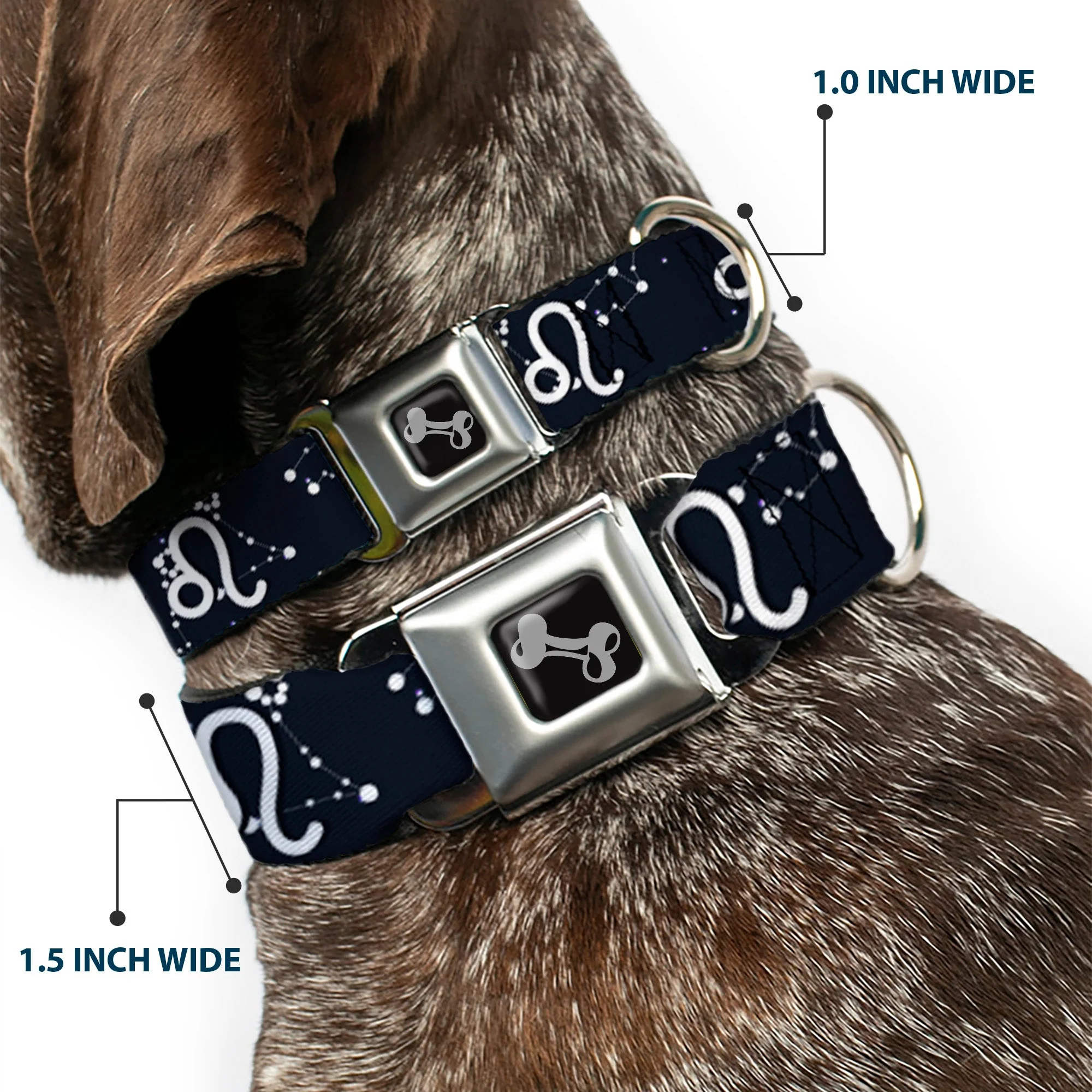 Dog Bone Seatbelt Buckle Collar - Zodiac Leo Symbol/Constellations Black/White - Image 2