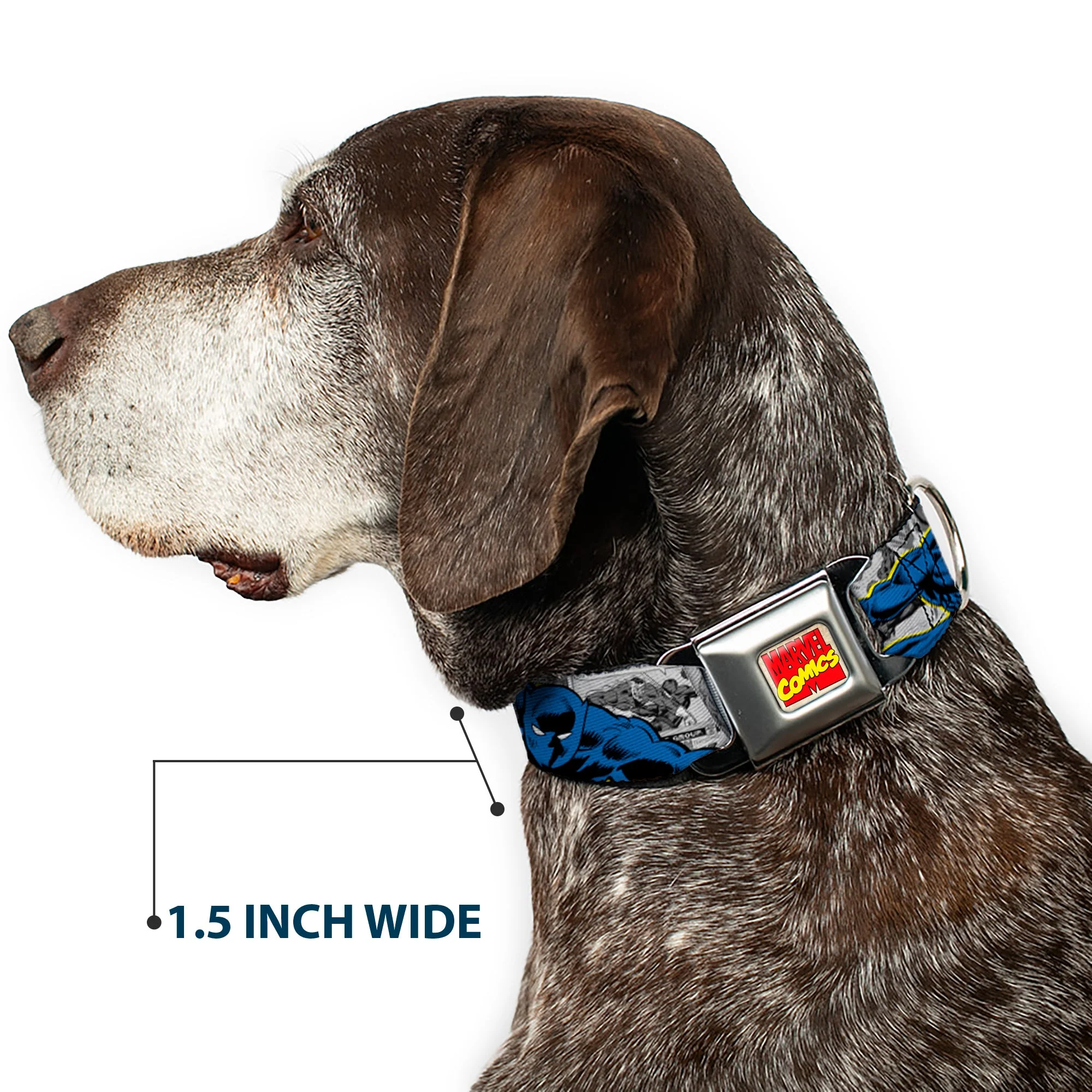 Dog Collar AVA - MARVEL COMICS LOGO FULL COLOR - CLASSIC BLACK PANTHER ACTION POSES/STACKED COMICS - Image 7