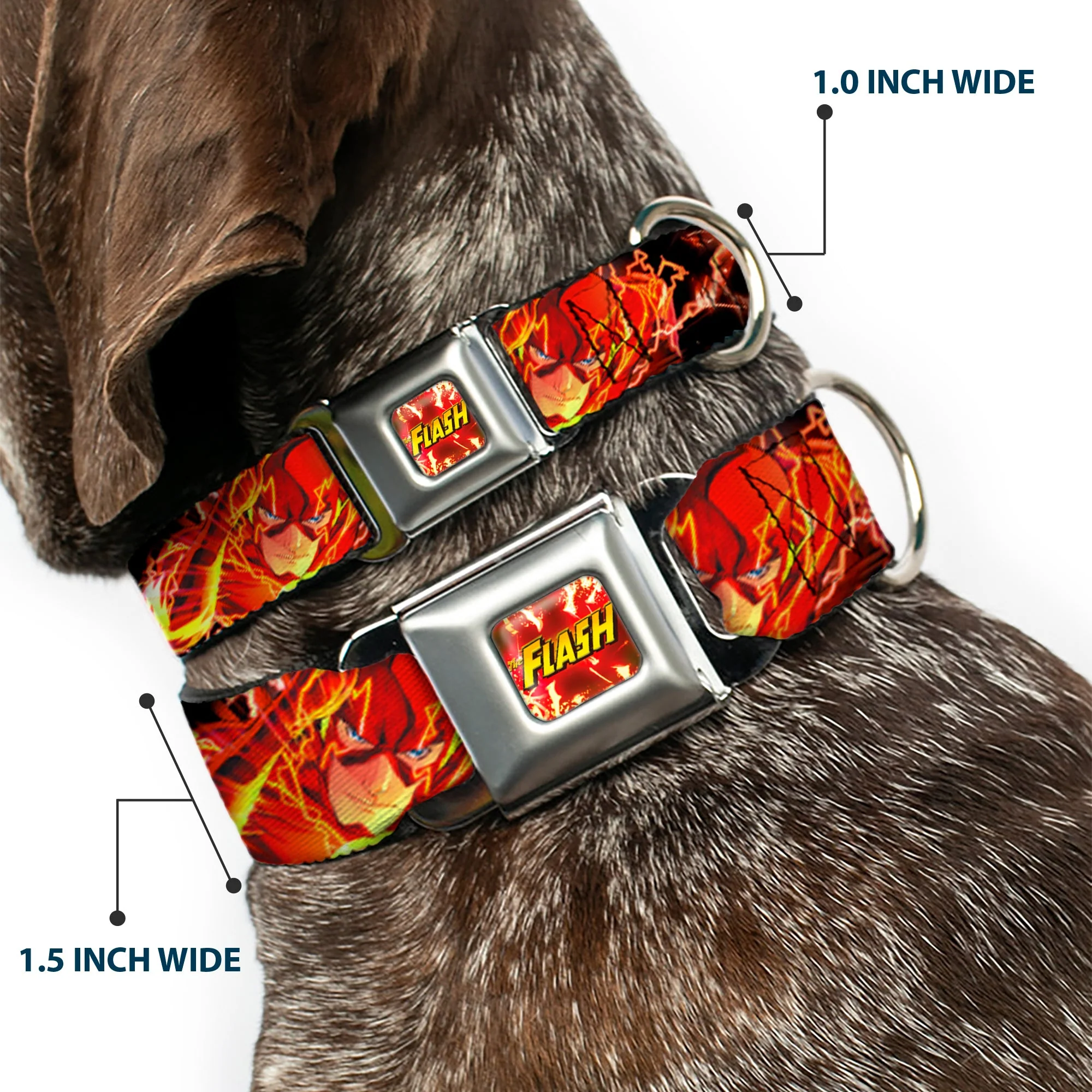 Dog Collar FLJ-THE FLASH Charge - THE FLASH Super Charged Running Pose - Image 2