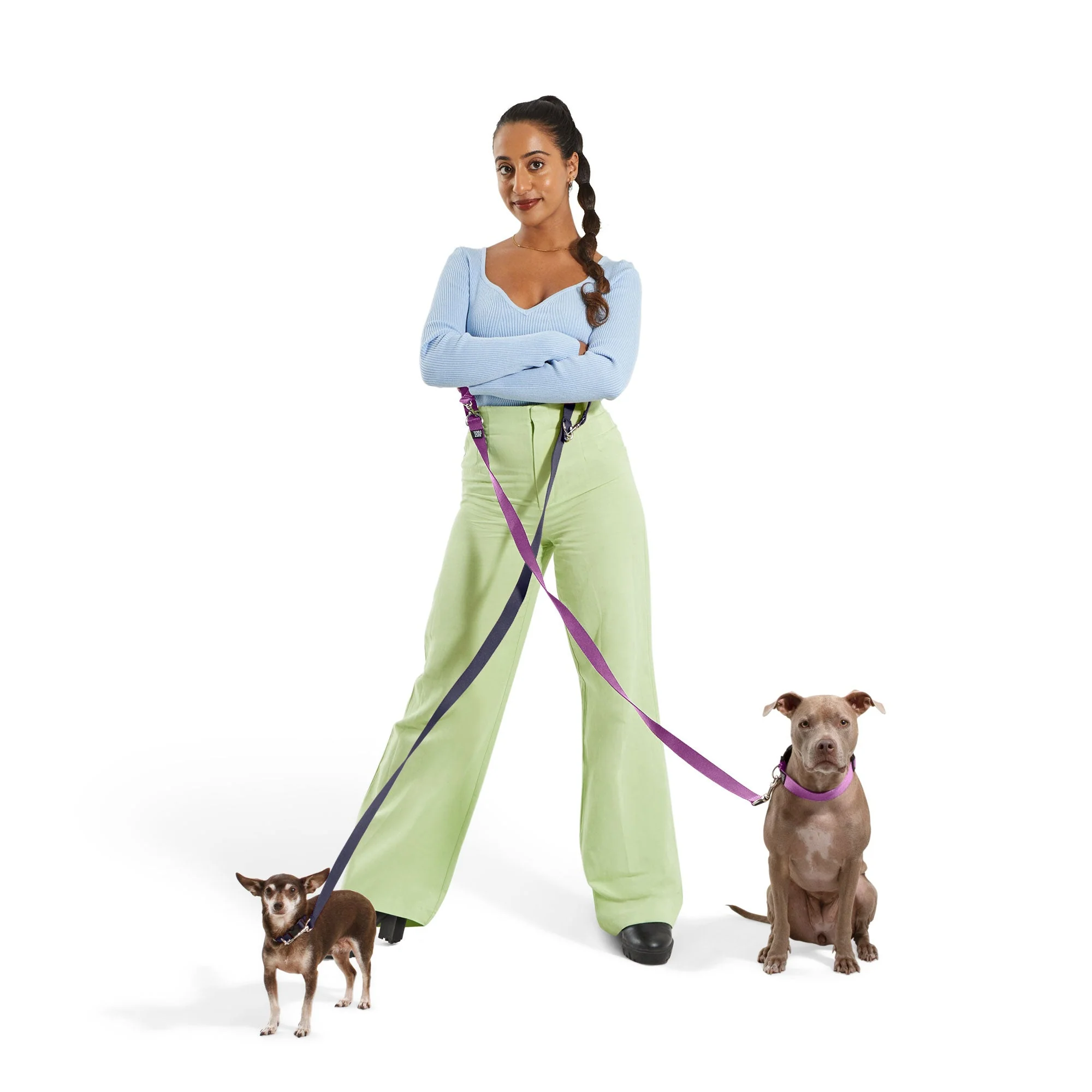 Dog Collar Kit - Image 15