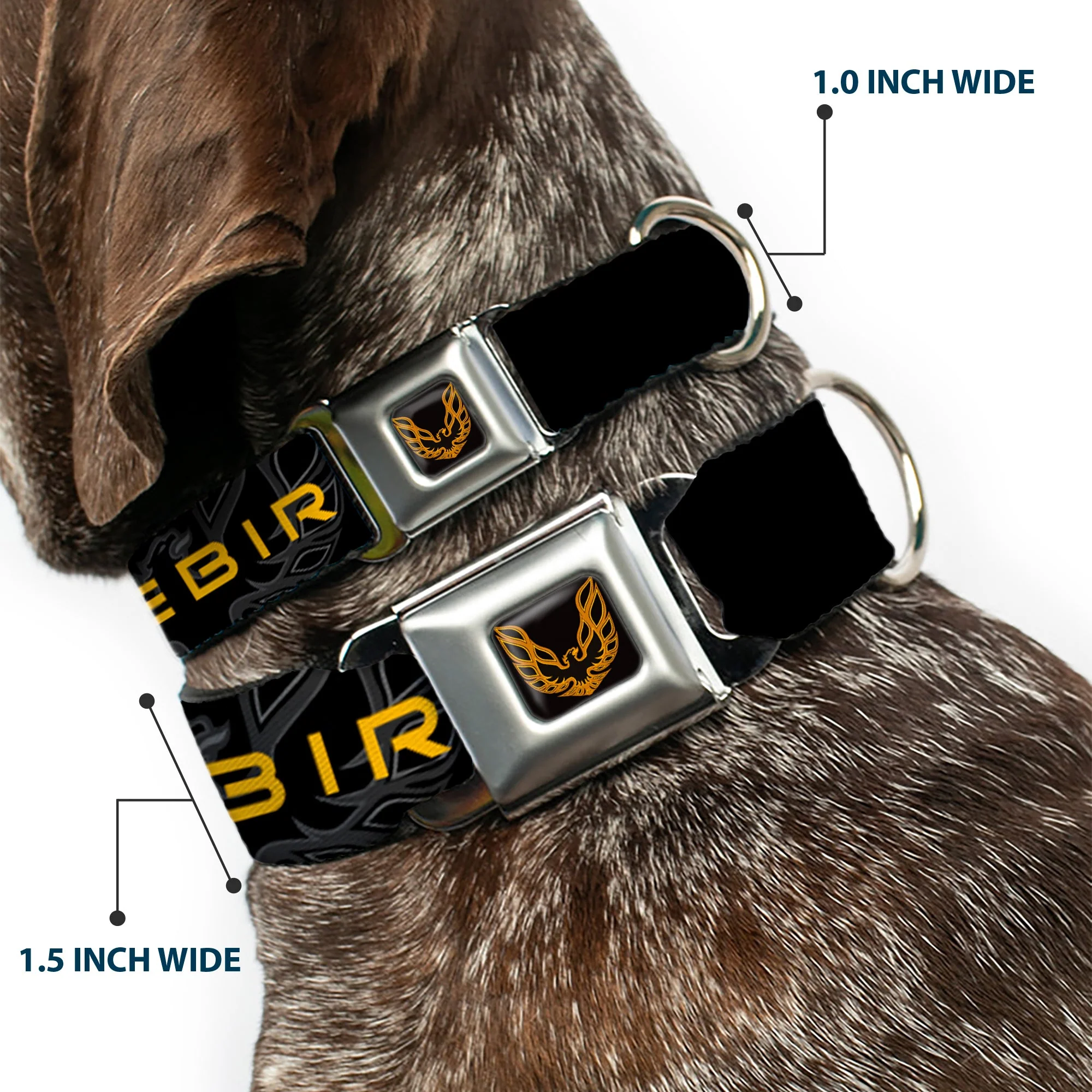 Dog Collar POG-Pontiac Firebird Logo Full Color Black/Golds - Pontiac FIREBIRD/Logo Black/Grays/Golds - Image 2