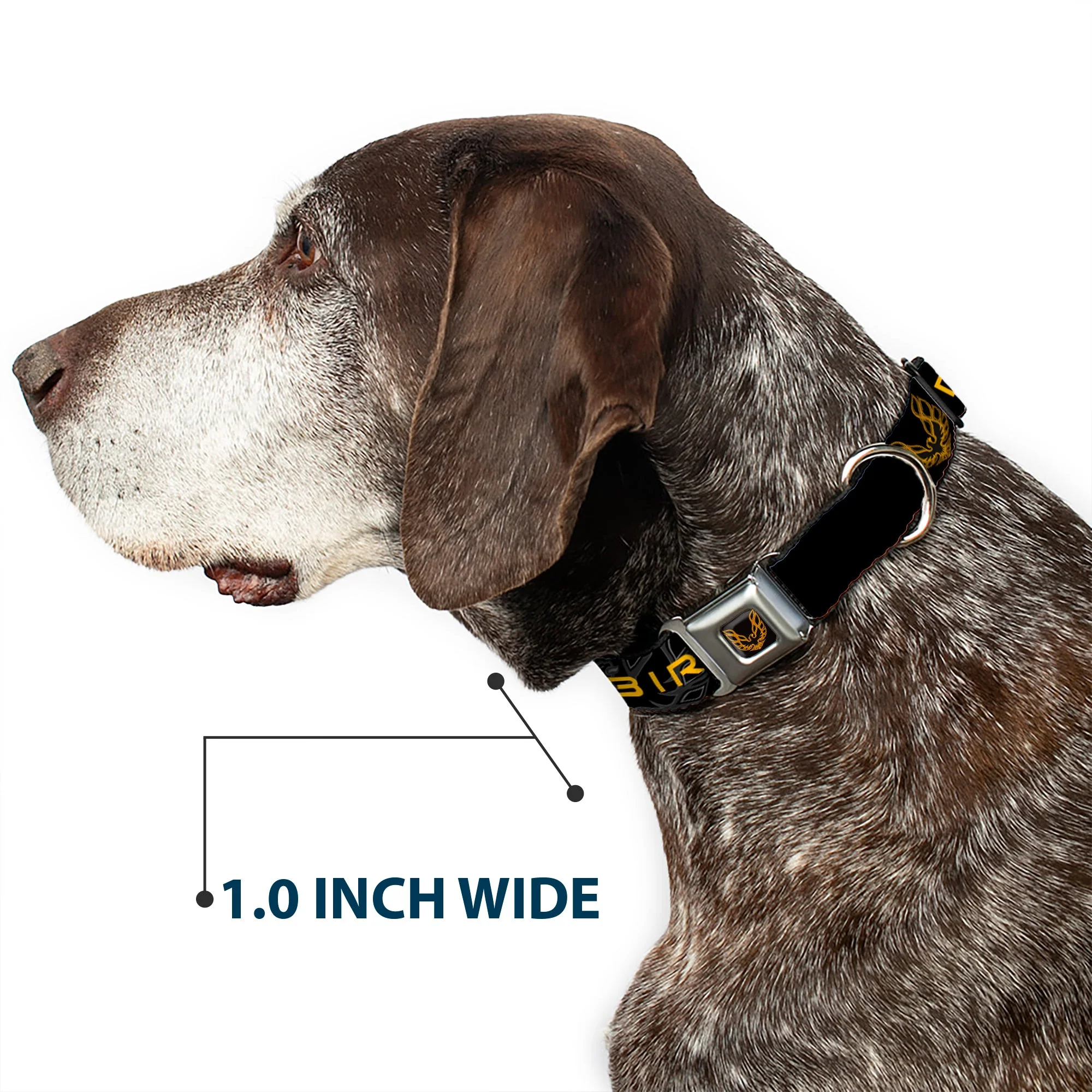 Dog Collar POG-Pontiac Firebird Logo Full Color Black/Golds - Pontiac FIREBIRD/Logo Black/Grays/Golds - Image 6