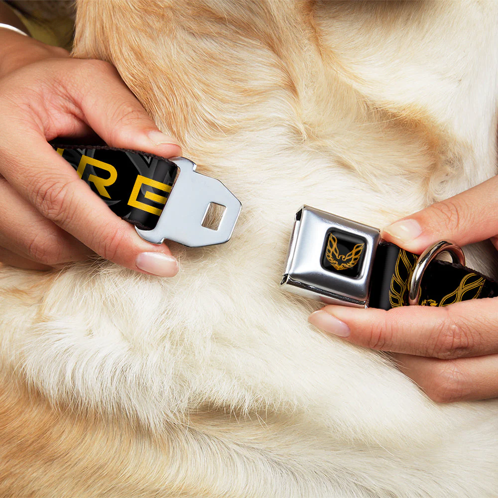 Dog Collar POG-Pontiac Firebird Logo Full Color Black/Golds - Pontiac FIREBIRD/Logo Black/Grays/Golds - Image 8