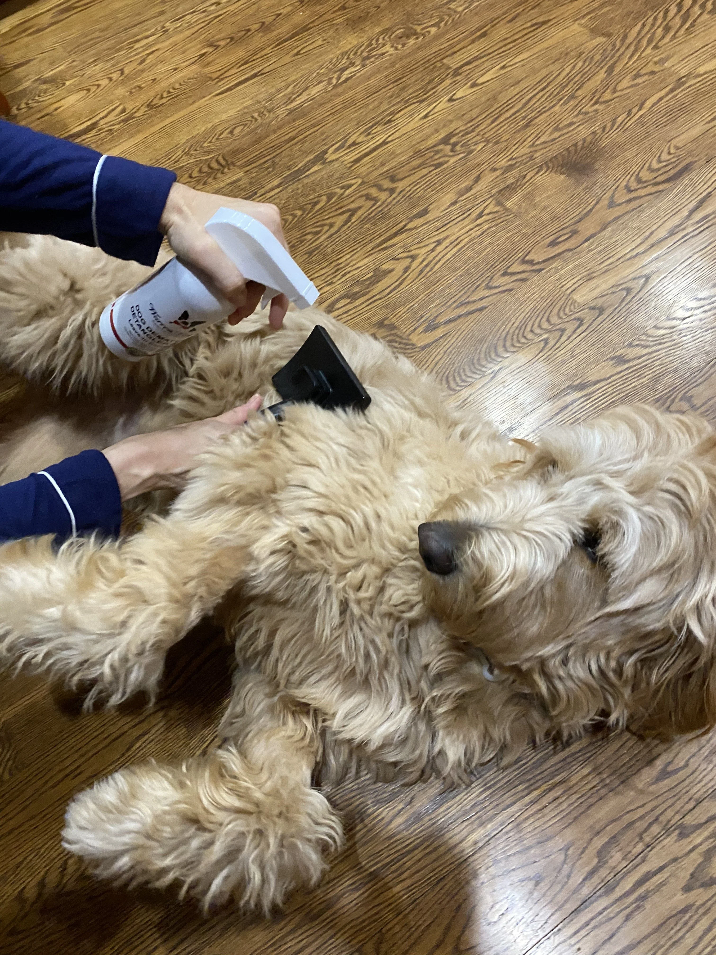 Dog De-matting and Detangler Spray - Leave-In Conditioner - Image 6