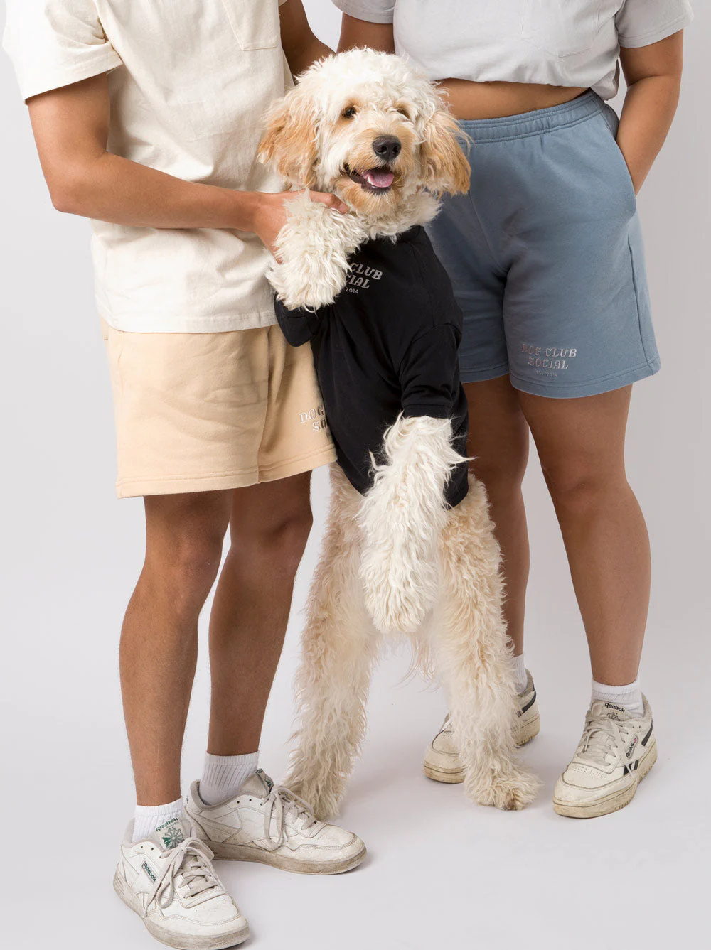Dog Embroidered Tee - Image 6