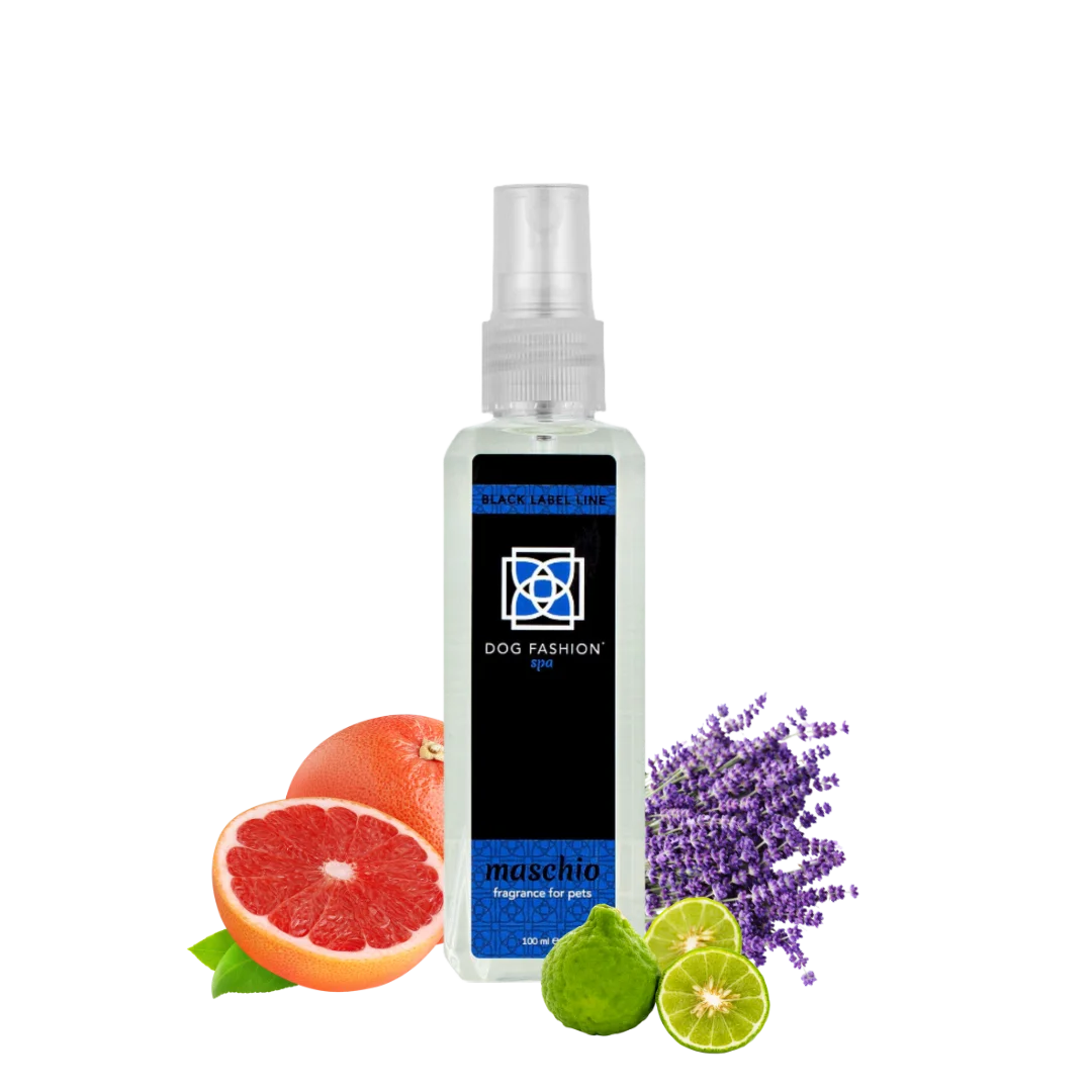 Maschio Fragrance 100 ml by Dog Fashion Spa - Image 4
