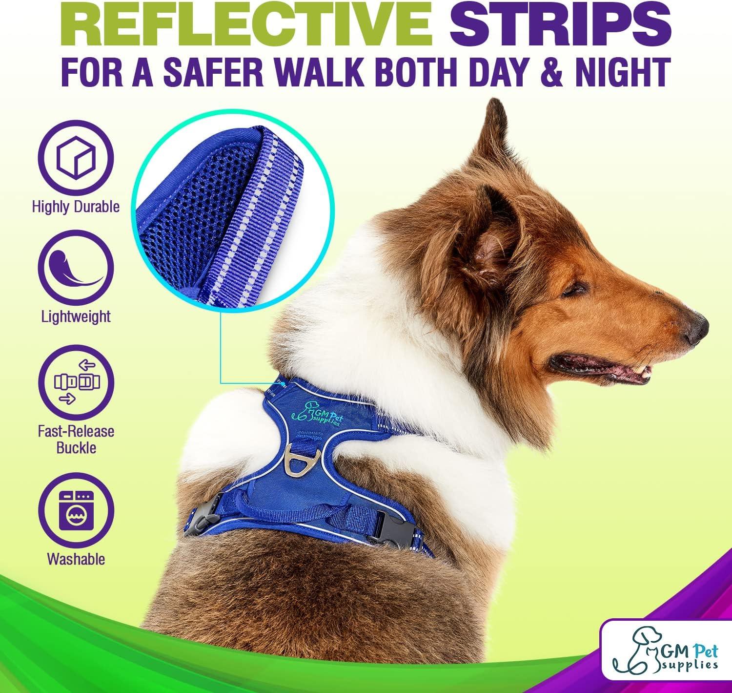 Dog Harness Walking kit and Leash Set - Image 10
