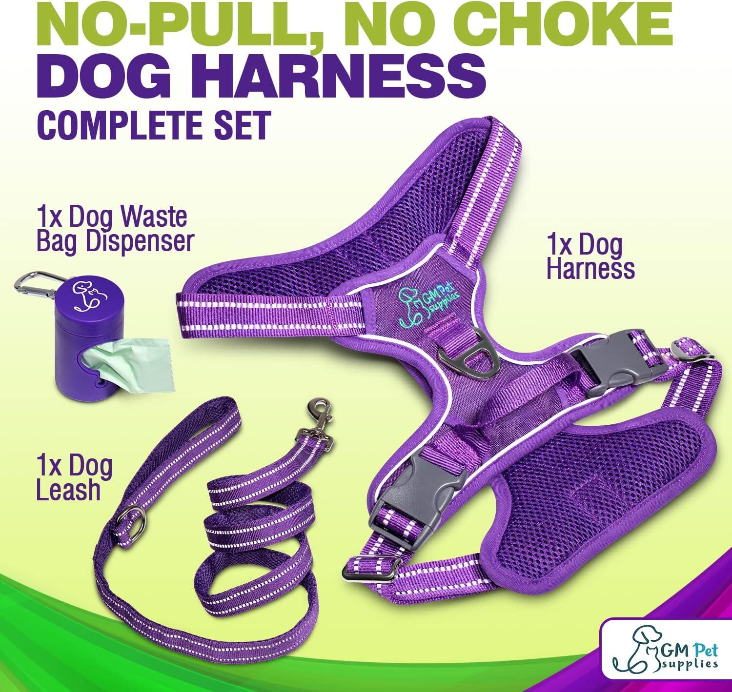 Dog Harness Walking kit and Leash Set - Image 17