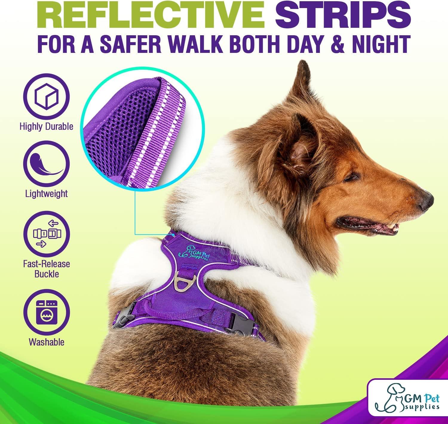 Dog Harness Walking kit and Leash Set - Image 19
