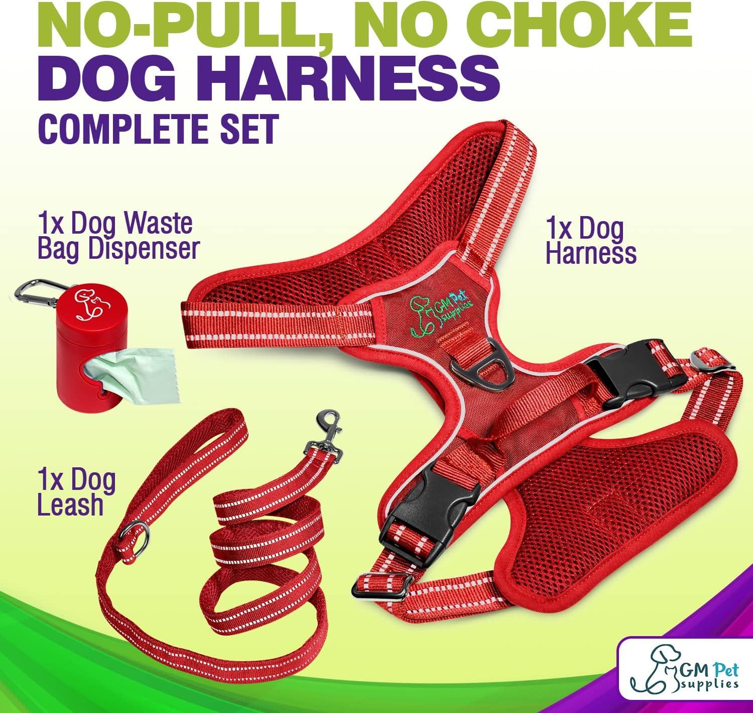 Dog Harness Walking kit and Leash Set - Image 24