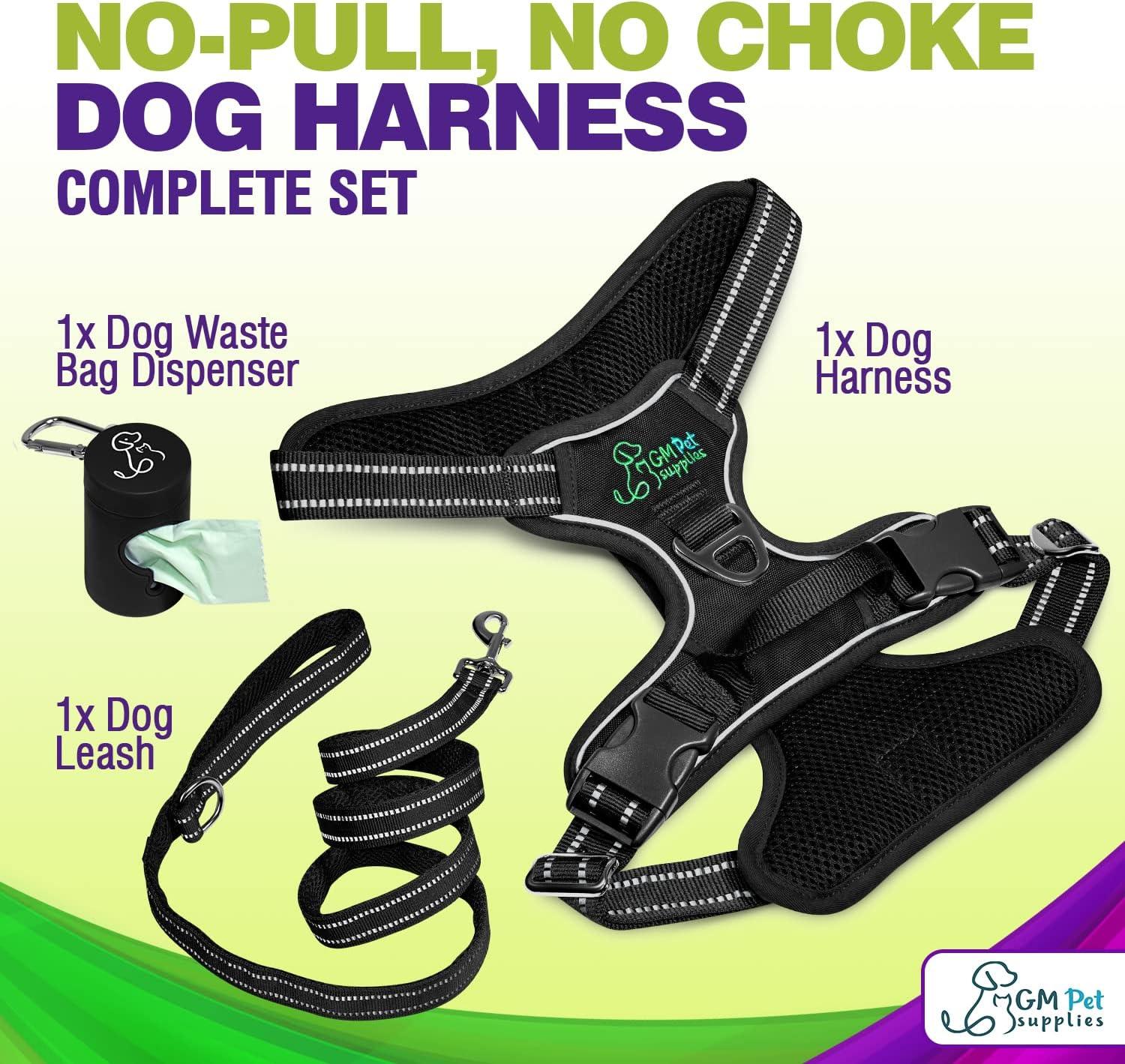 Dog Harness Walking kit and Leash Set - Image 3