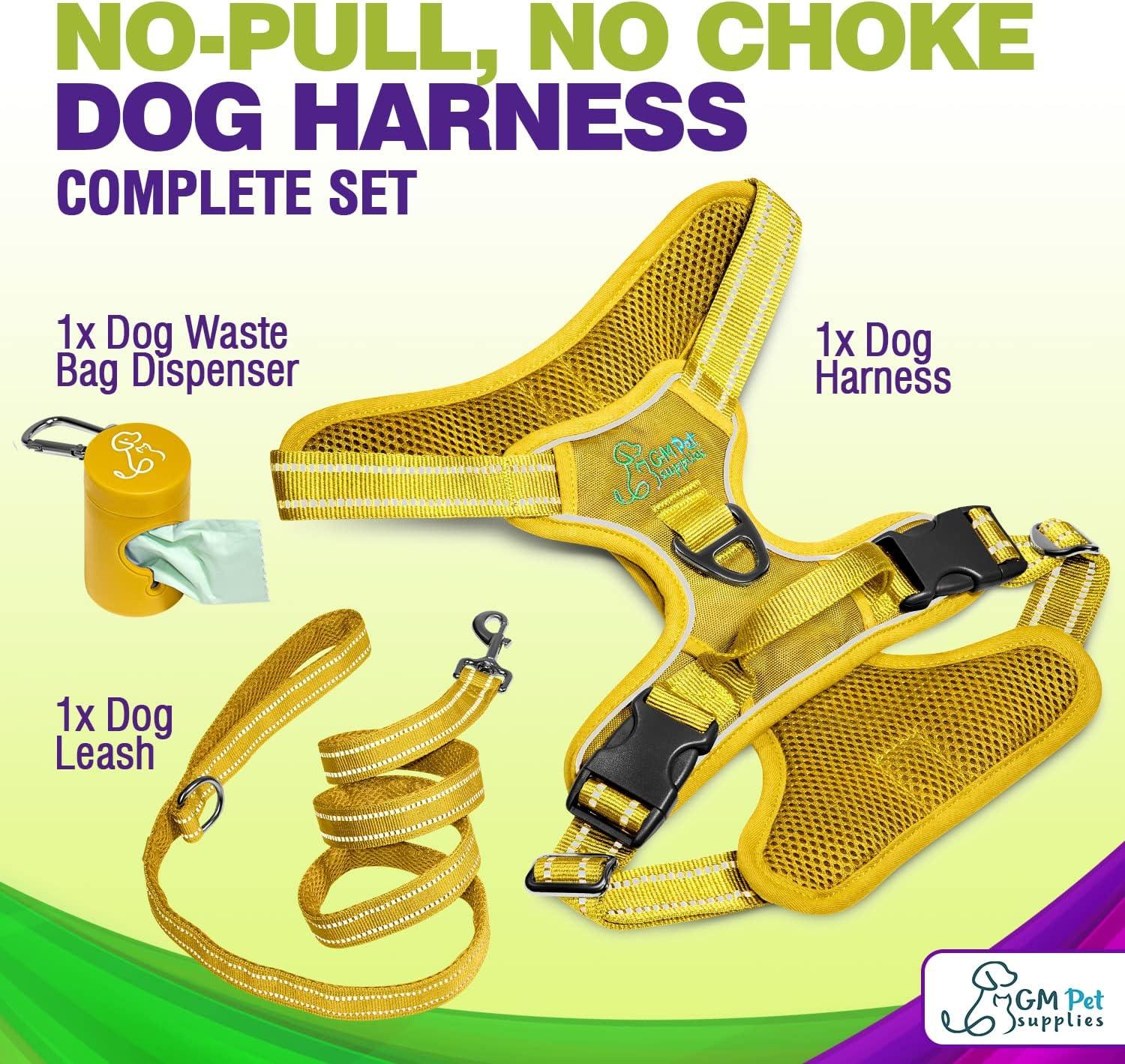 Dog Harness Walking kit and Leash Set - Image 31