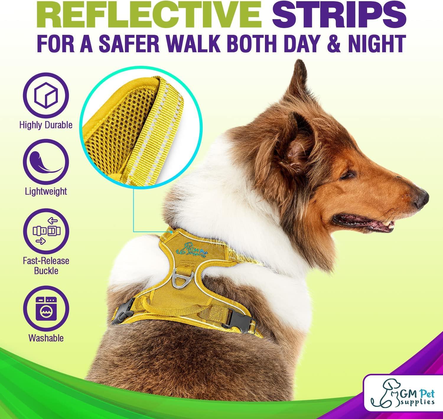 Dog Harness Walking kit and Leash Set - Image 33