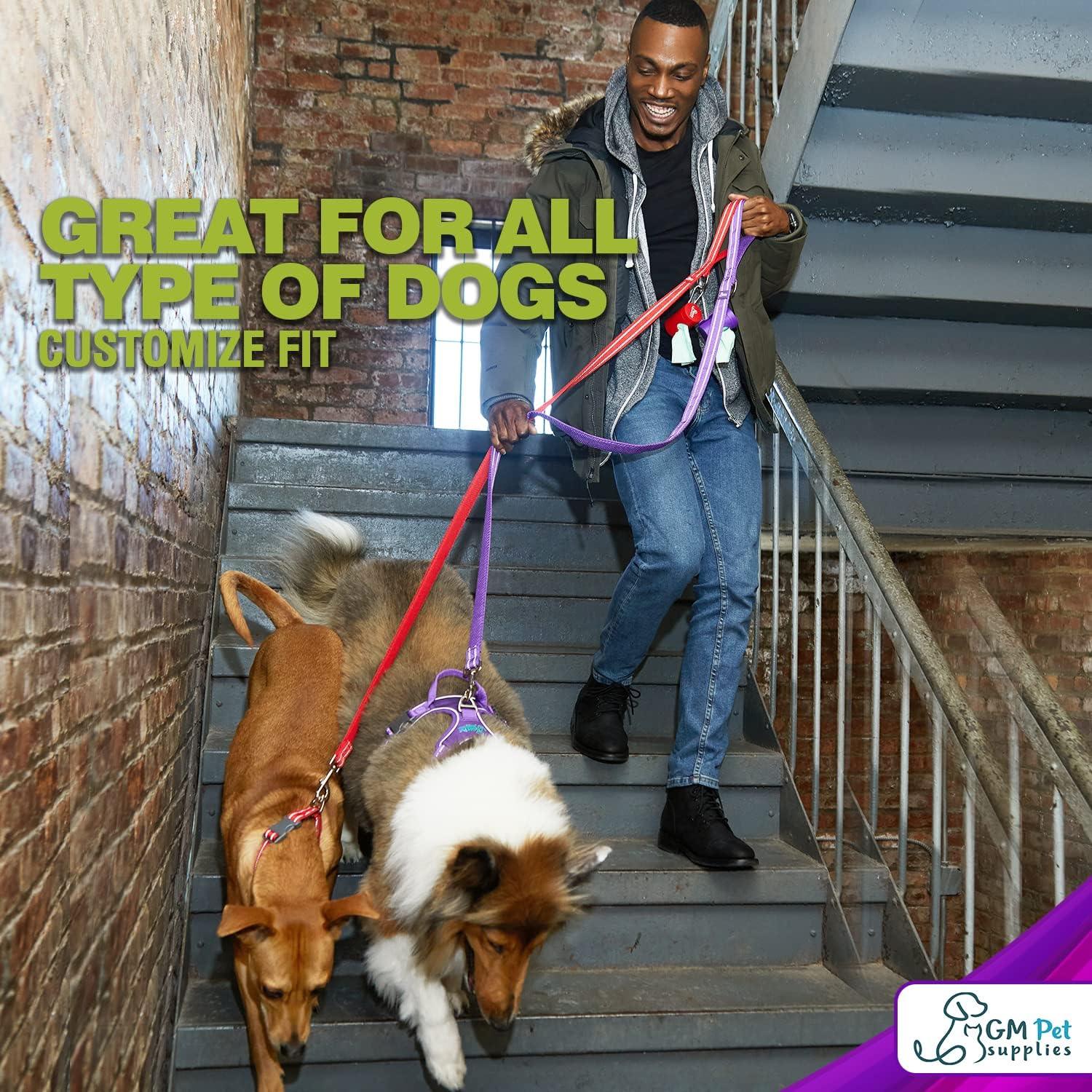 Dog Harness Walking kit and Leash Set - Image 34
