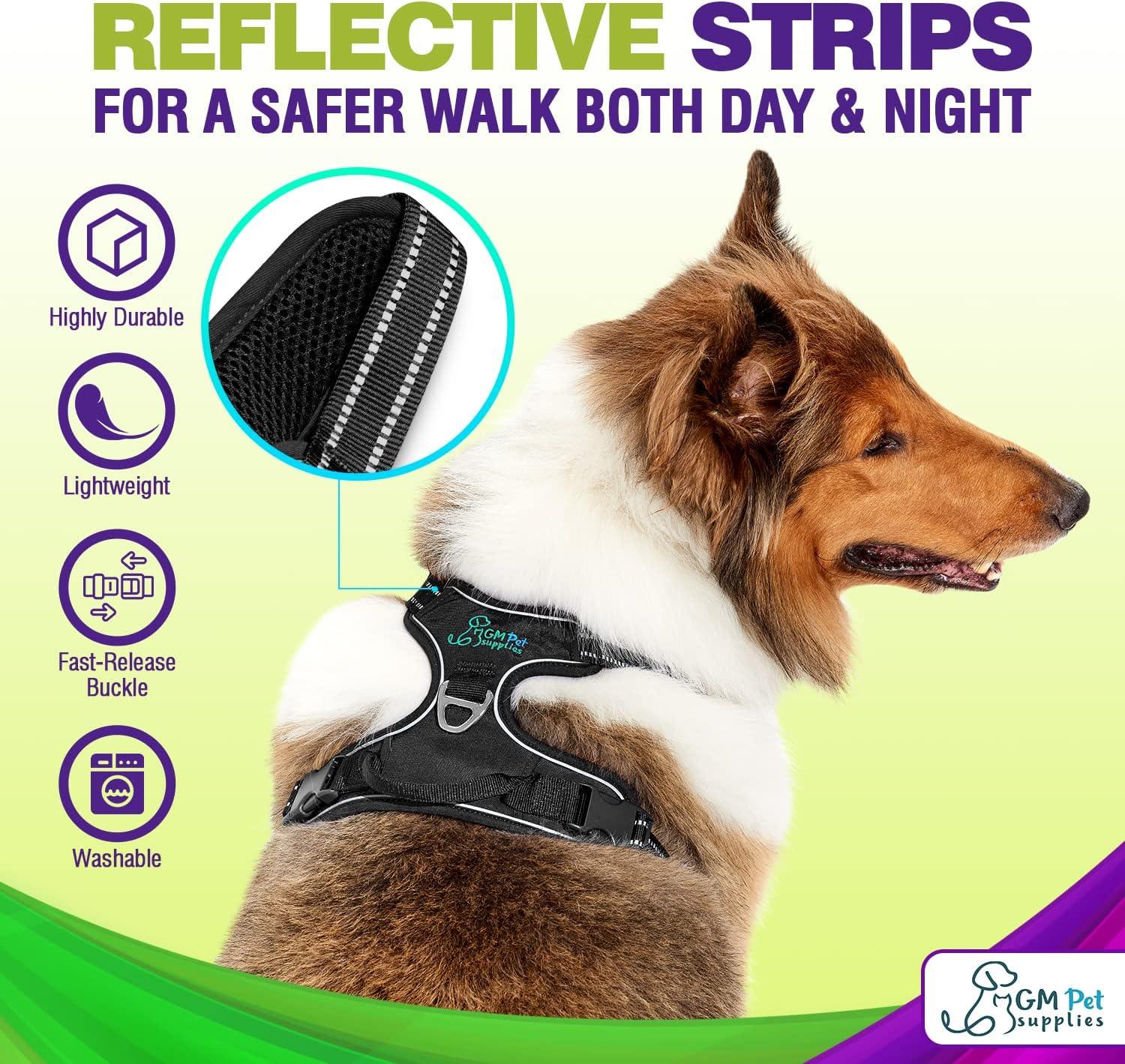 Dog Harness Walking kit and Leash Set - Image 4