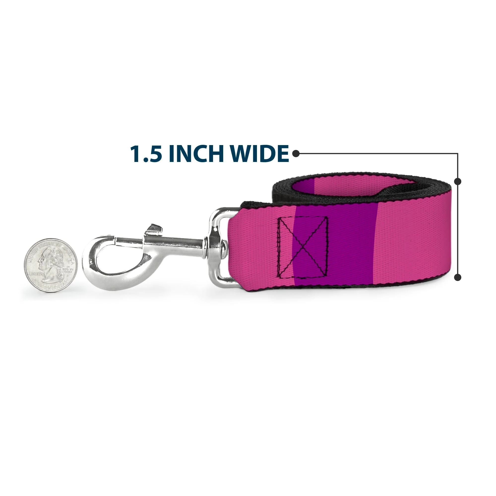 Dog Leash - Anna & Elsa Poses/Castle & Mountains Blues - Image 6