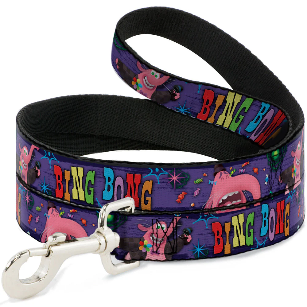 Dog Leash - BING BONG Poses/Candy Purples/Multi Color