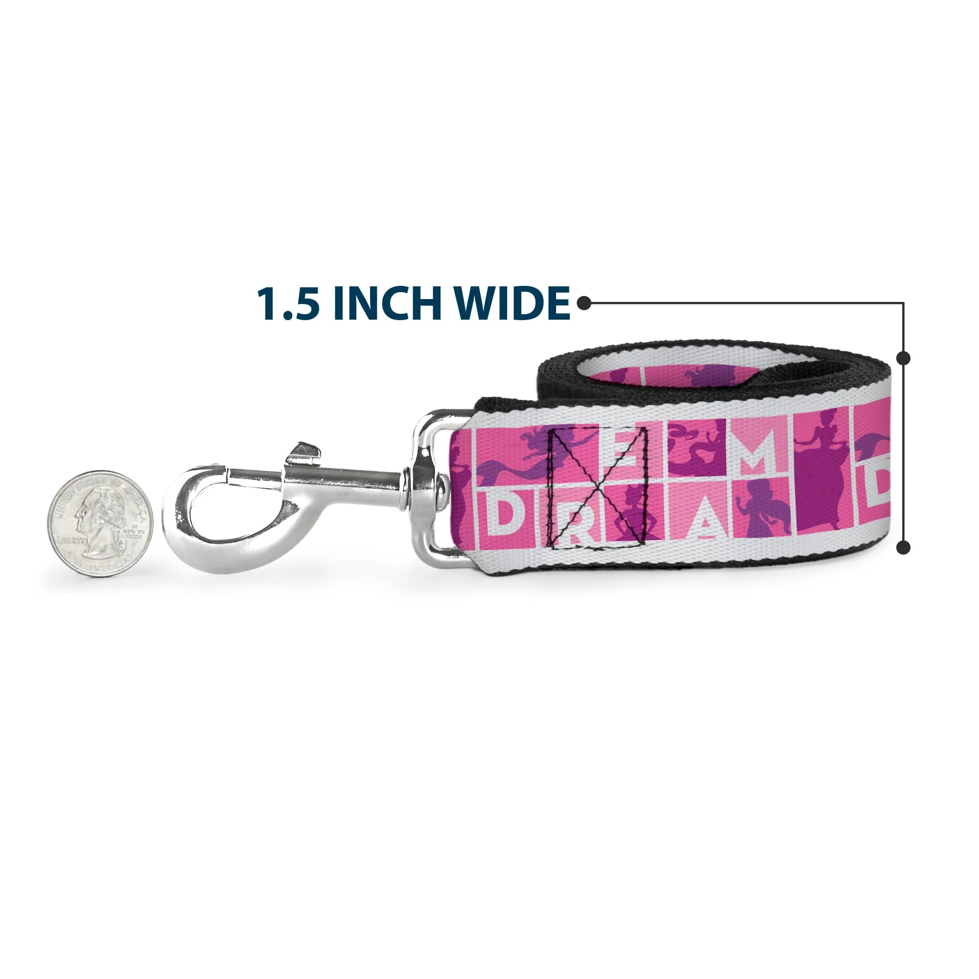 Dog Leash - DISNEY PRIDE Signature Logo Black/White/Rainbow - Image 6