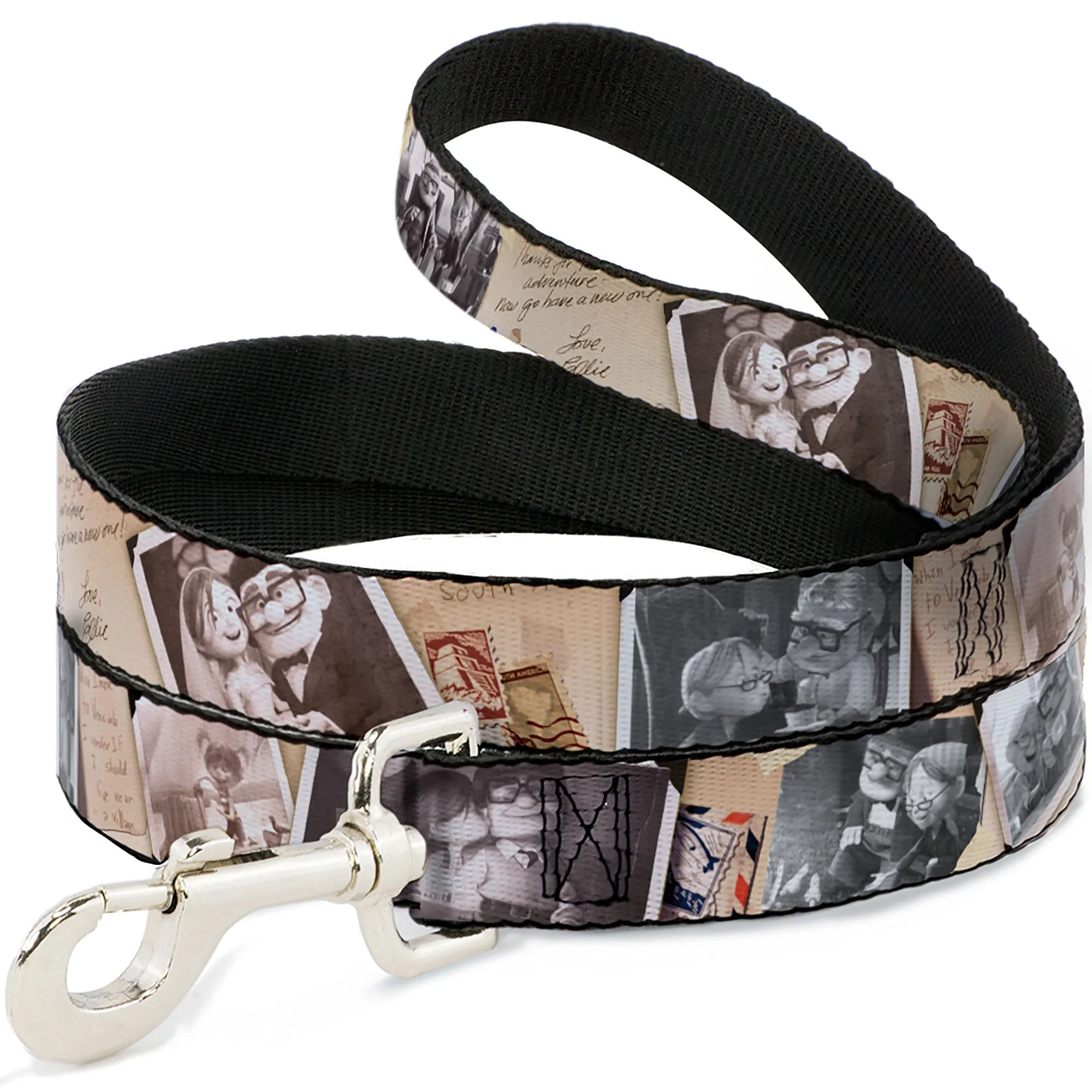 Dog Leash - Up Adventure Book Snapshots/Post Cards