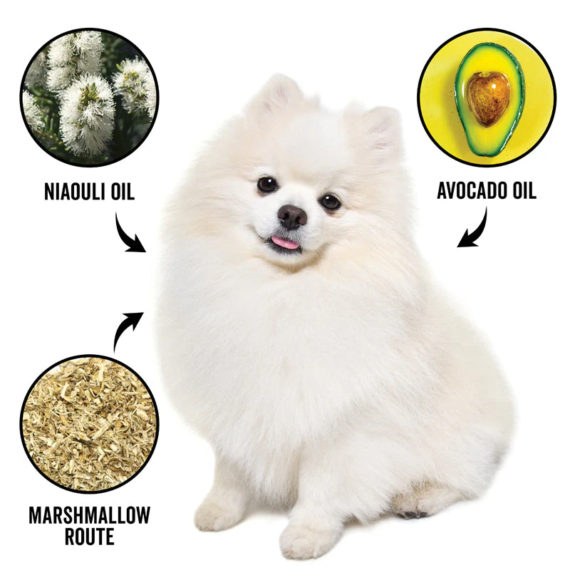 DOGDAYS Moisturizing Dog Conditioner — Hypoallergenic, Detangling, and Soothing for All Coat Types - Image 2