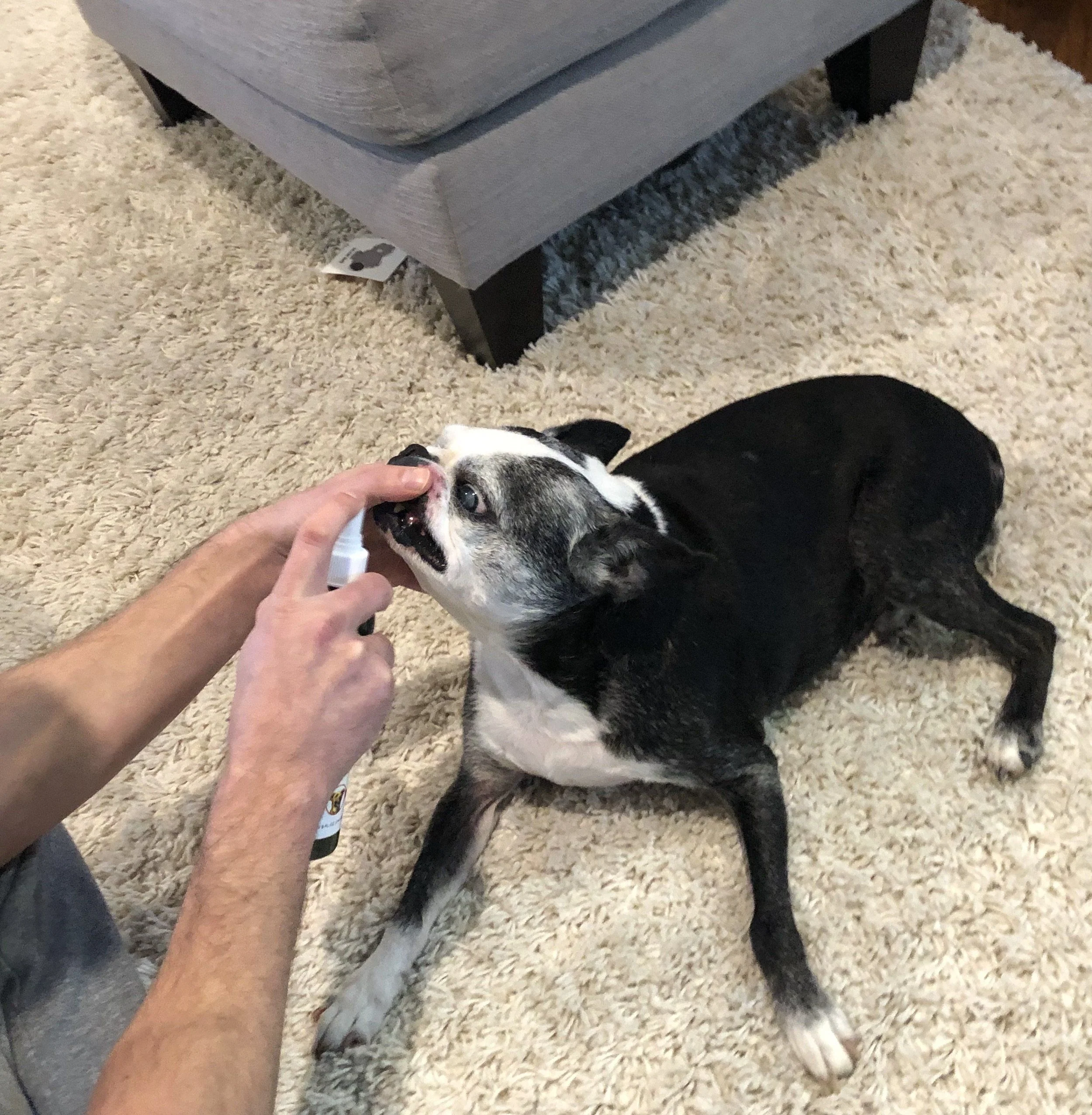 Doggy Dental Spray & Water Additive - Image 7
