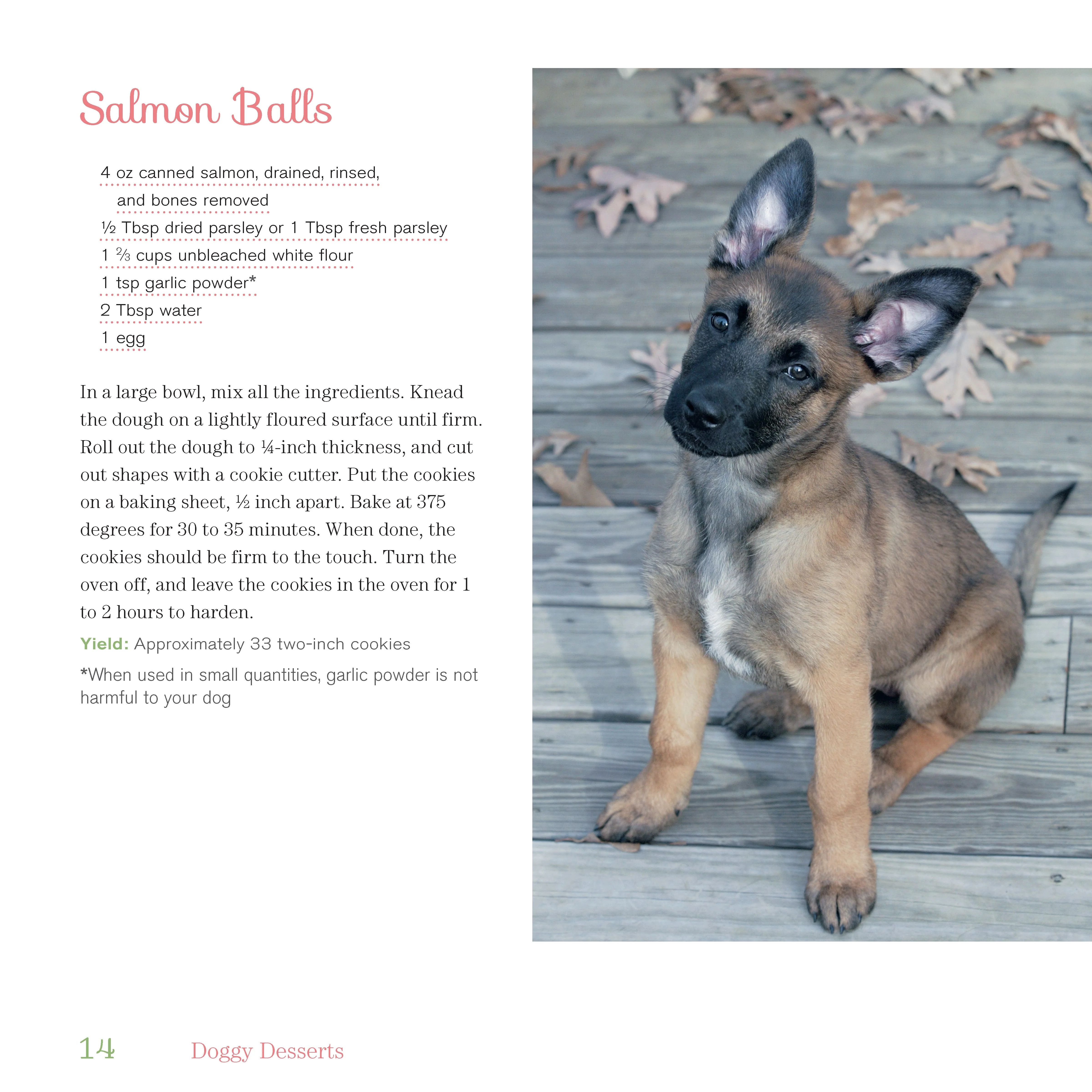 Doggy Desserts - Image 4