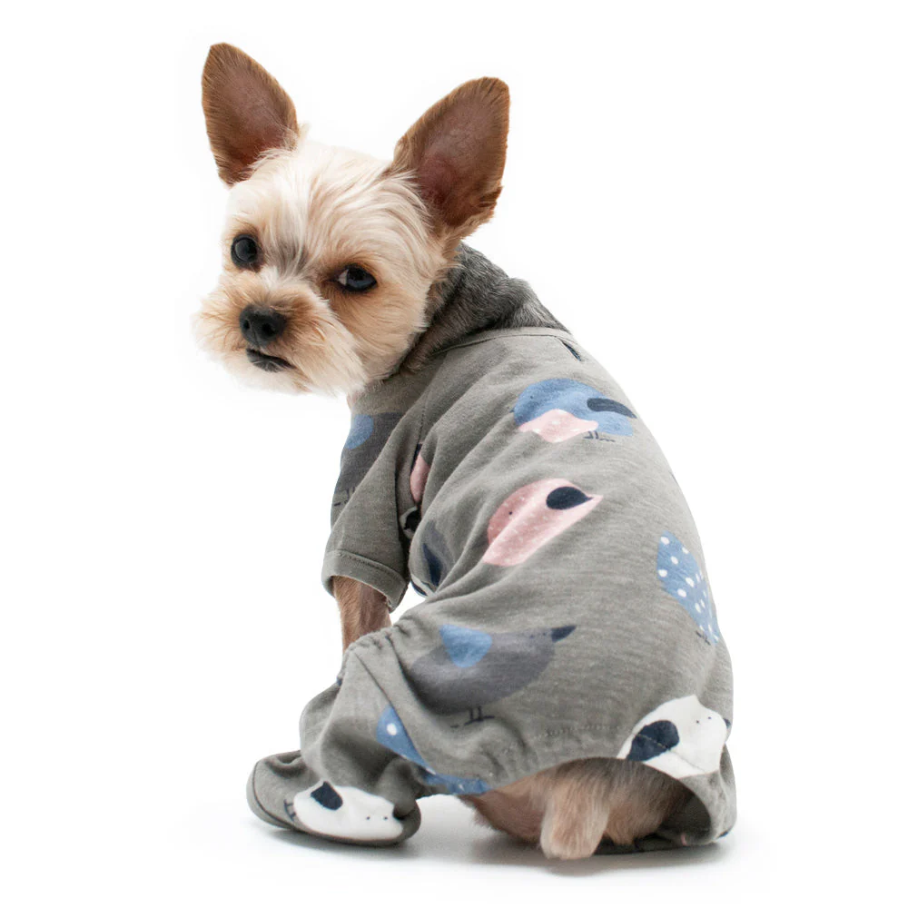 Dogo PJ Bird - Image 4