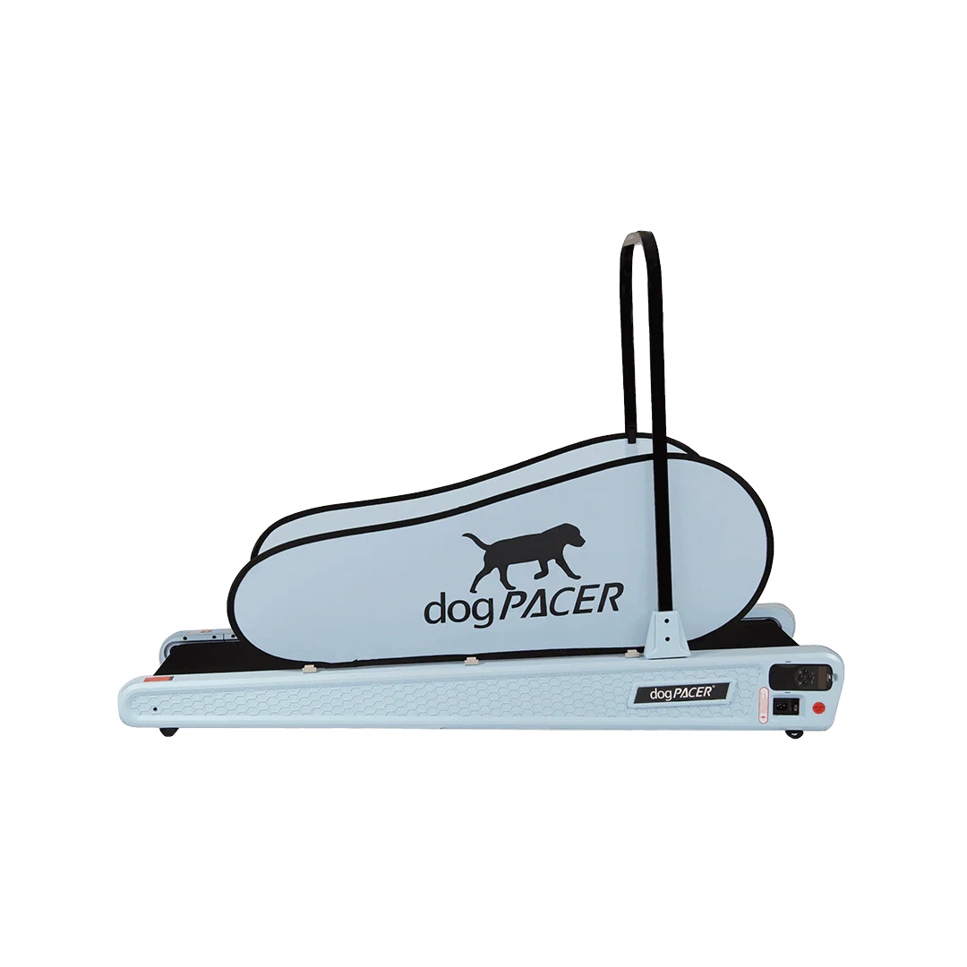 DogPACER SE- Blue Sky - Image 6