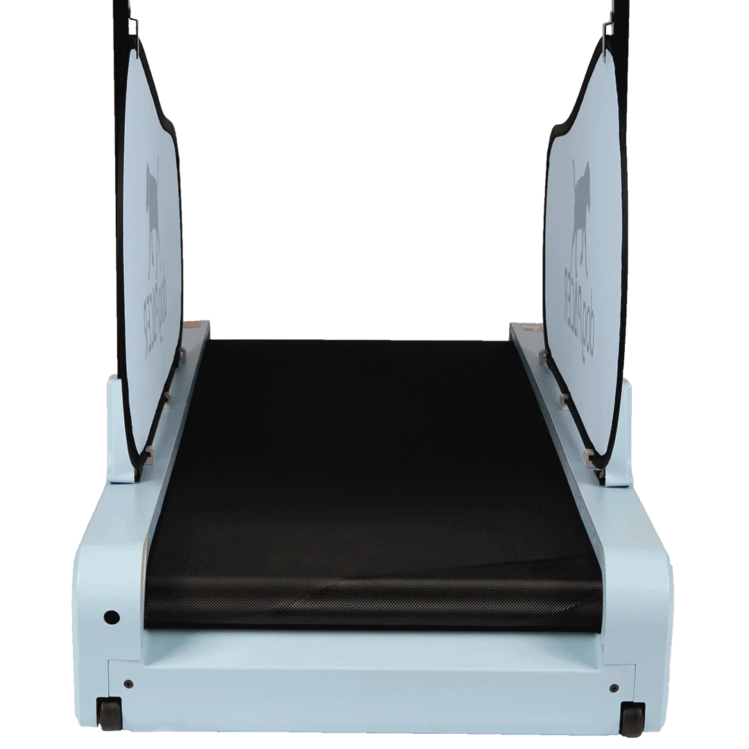 DogPACER SE- Blue Sky - Image 5