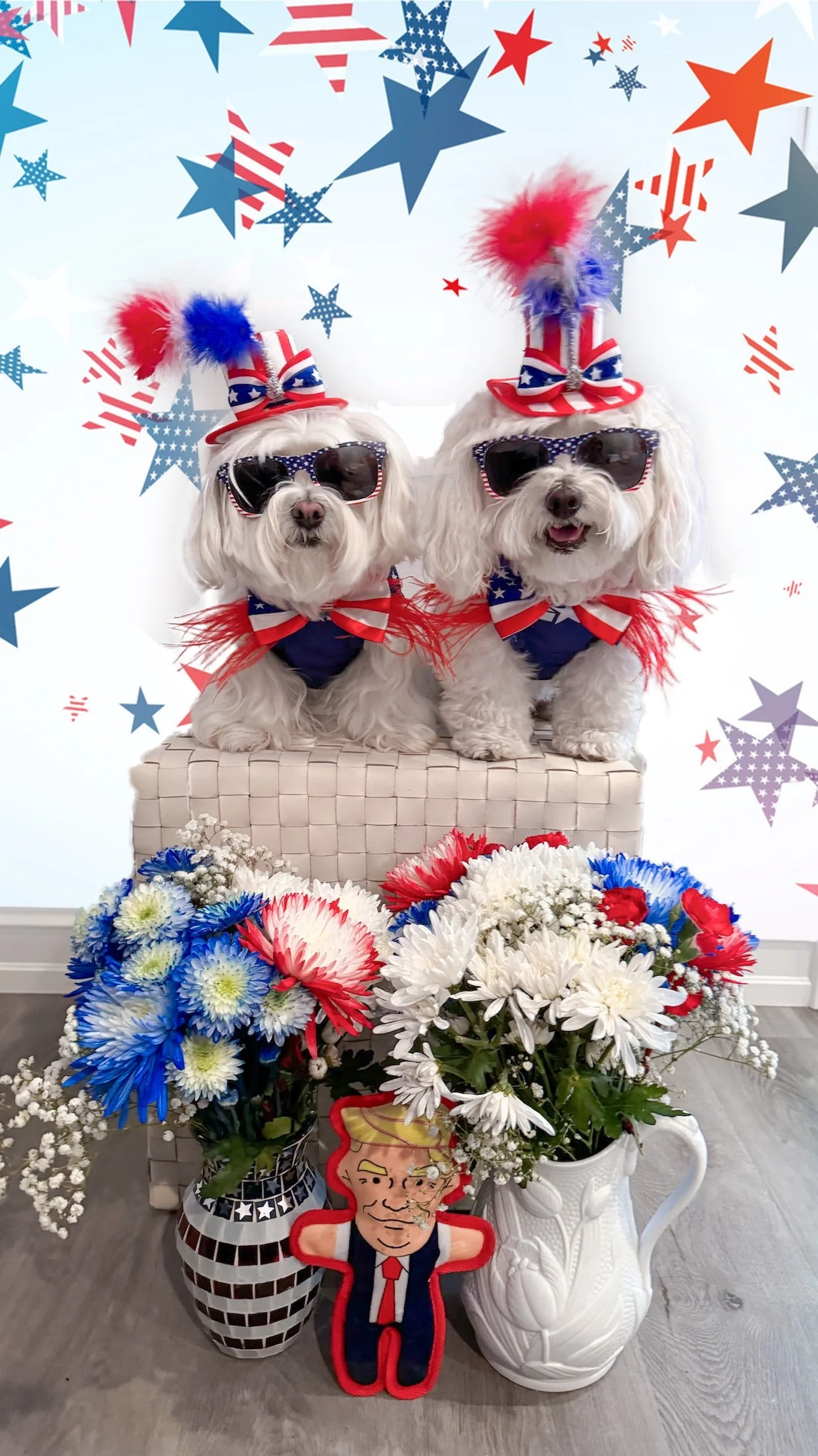 Pet Toy: DONALD DOG TOY - Image 7