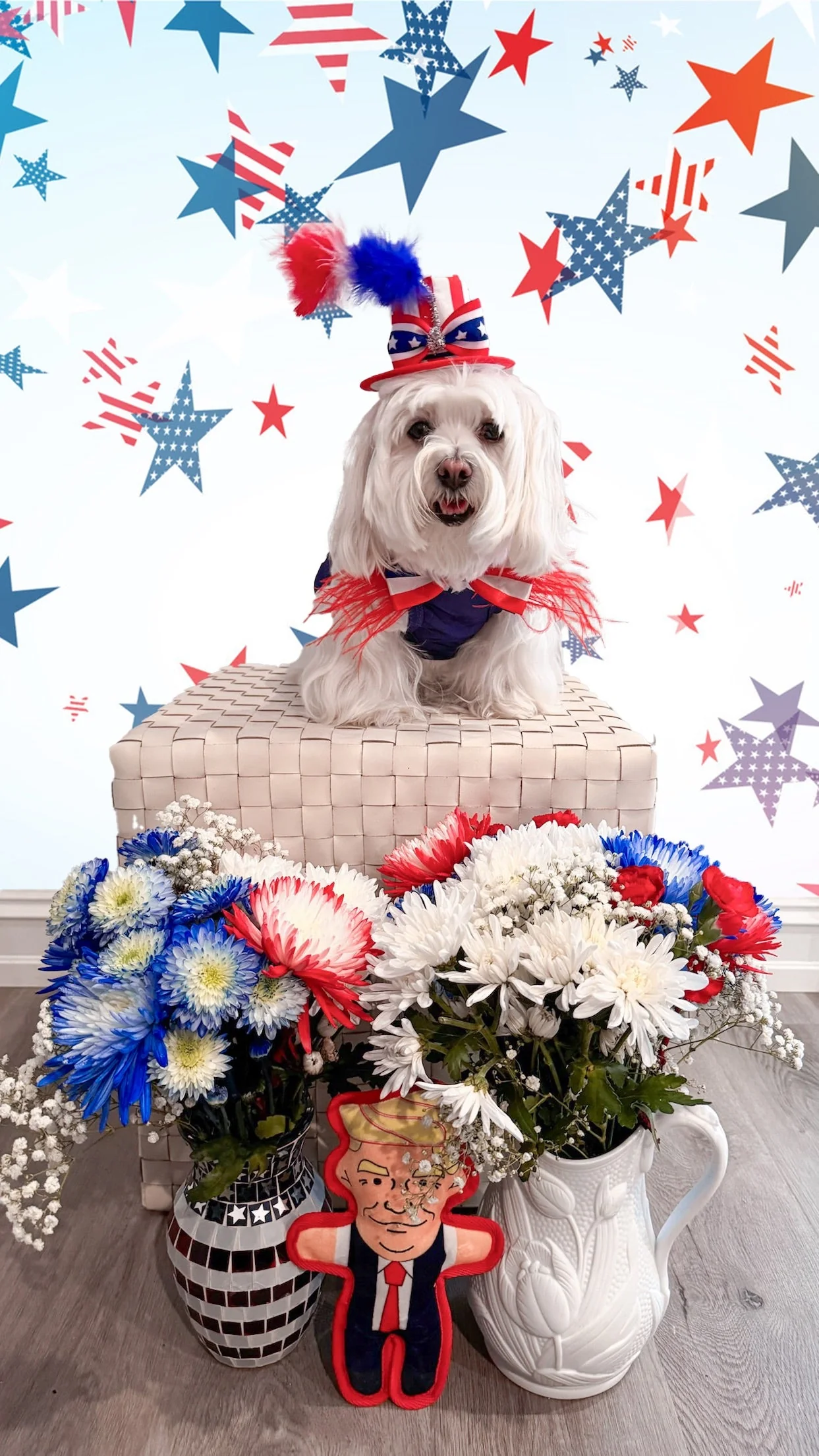 Pet Toy: DONALD DOG TOY - Image 9