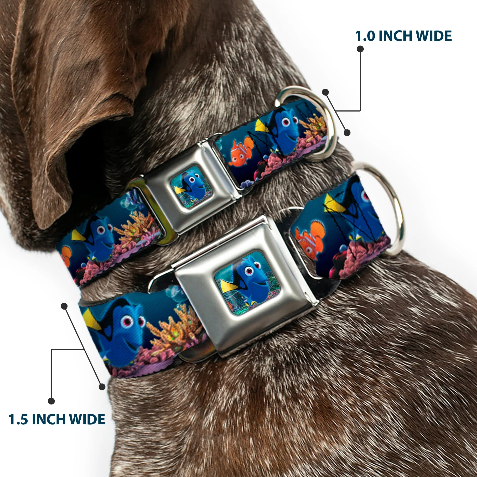 Dory Pose Full Color Seatbelt Buckle Collar - Dory Poses & Friends Under the Sea - Image 2