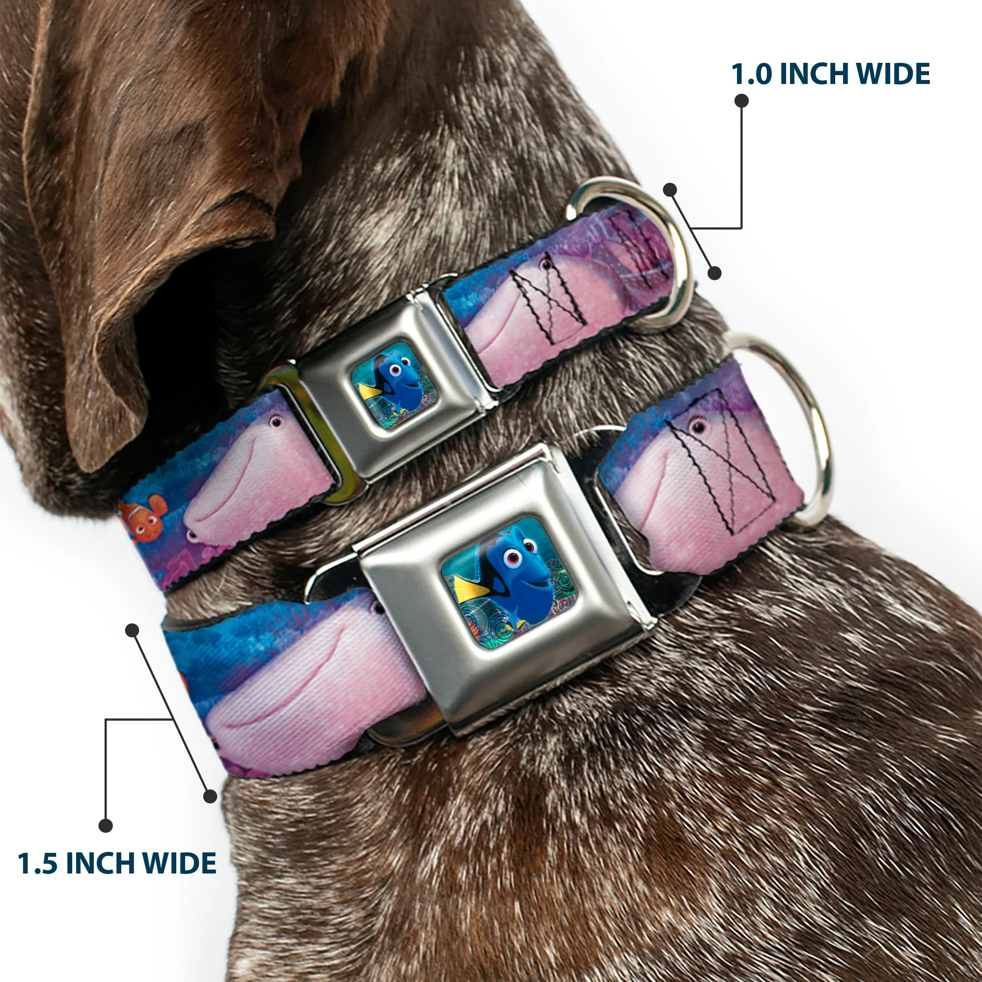 Dory Pose Seatbelt Buckle Collar - Dory & 5-Friends Under the Sea - Image 2