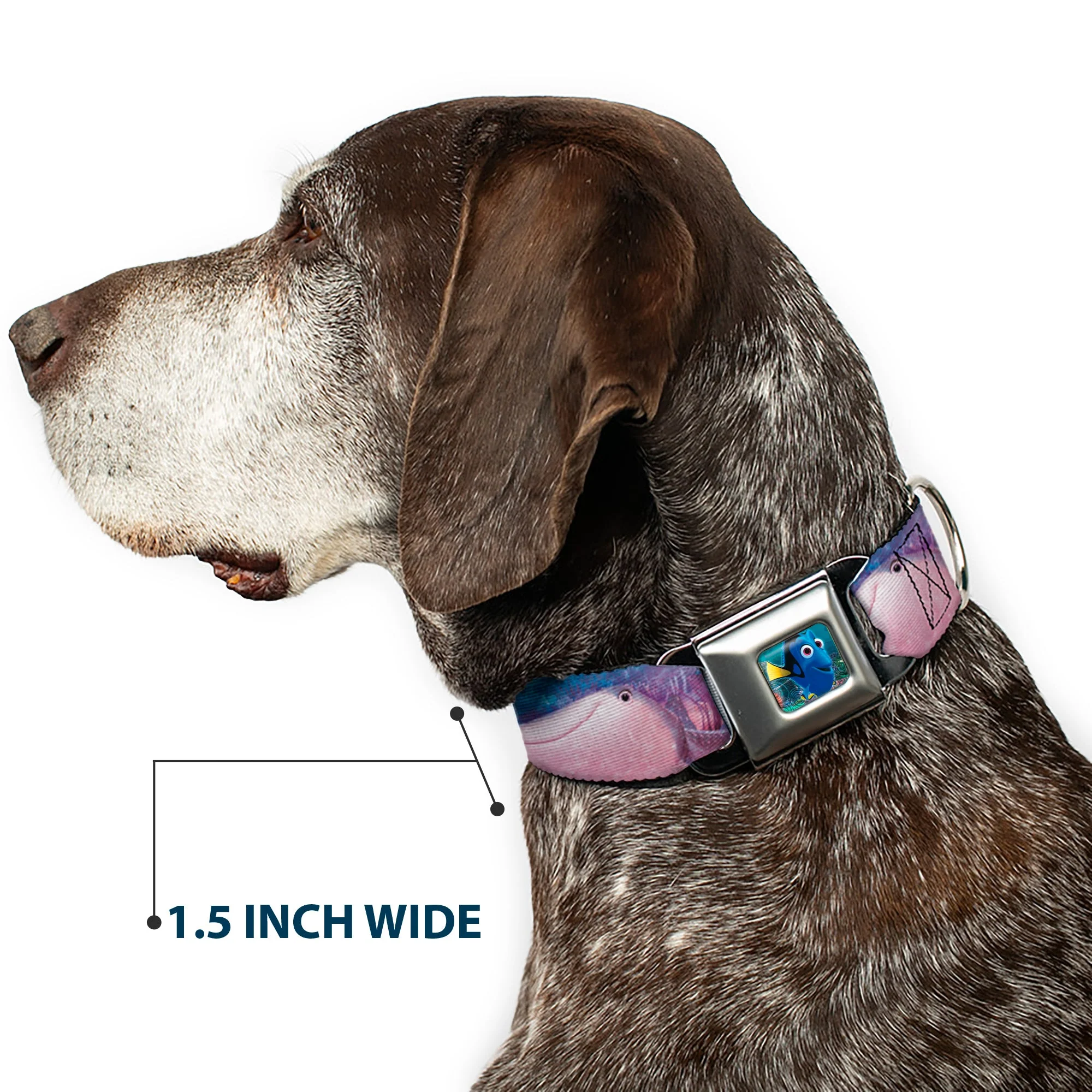 Dory Pose Seatbelt Buckle Collar - Dory & 5-Friends Under the Sea - Image 7