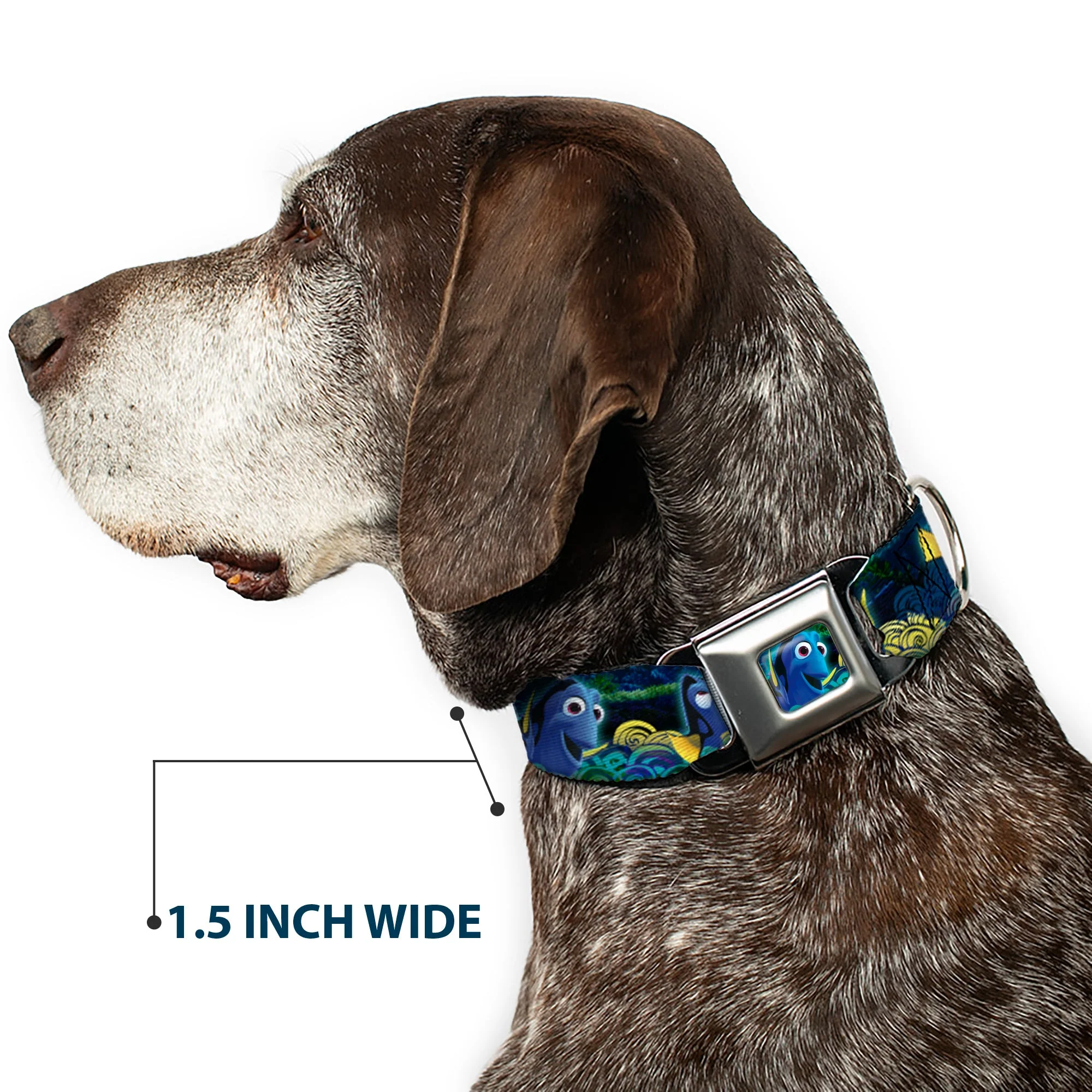 Dory Pose2/Swirls Full Color Blues/Yellows Seatbelt Buckle Collar - Dory Poses/Swirls Blues/Yellows - Image 7