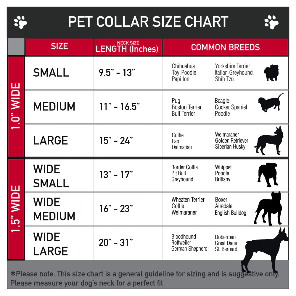 Dory Pose2/Swirls Full Color Blues/Yellows Seatbelt Buckle Collar - Dory Poses/Swirls Blues/Yellows - Image 9