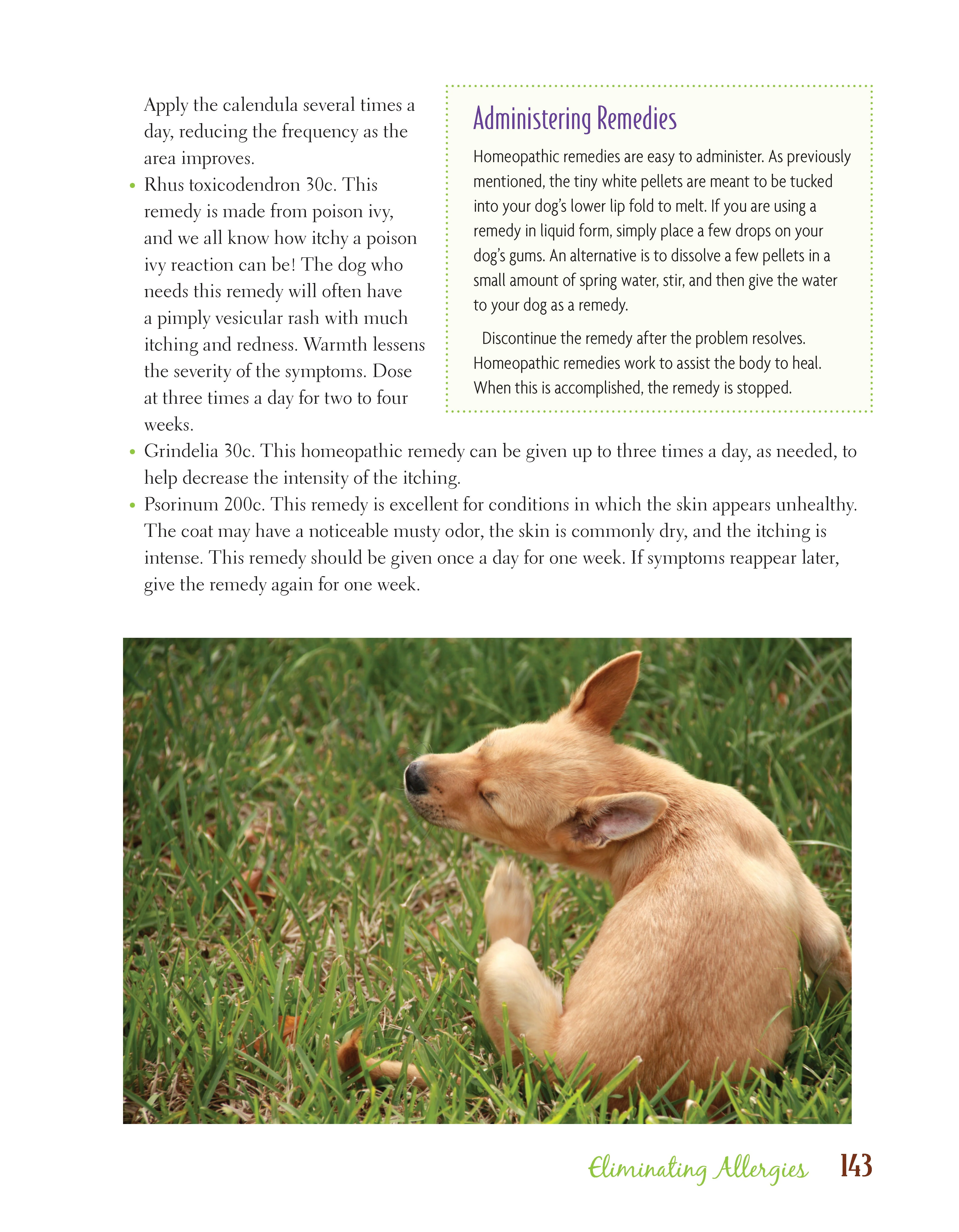 Dr. Khalsa's Natural Dog - Image 4
