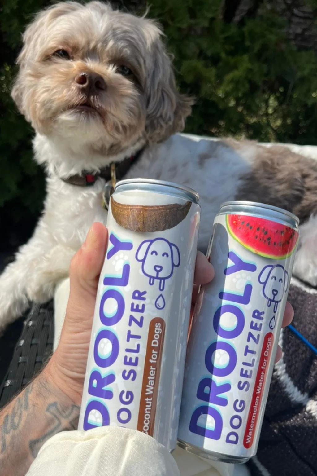 DROOLY Dog Seltzer - Image 2