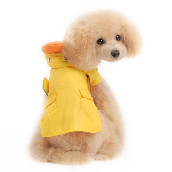 Duck Raincoat - Image 2