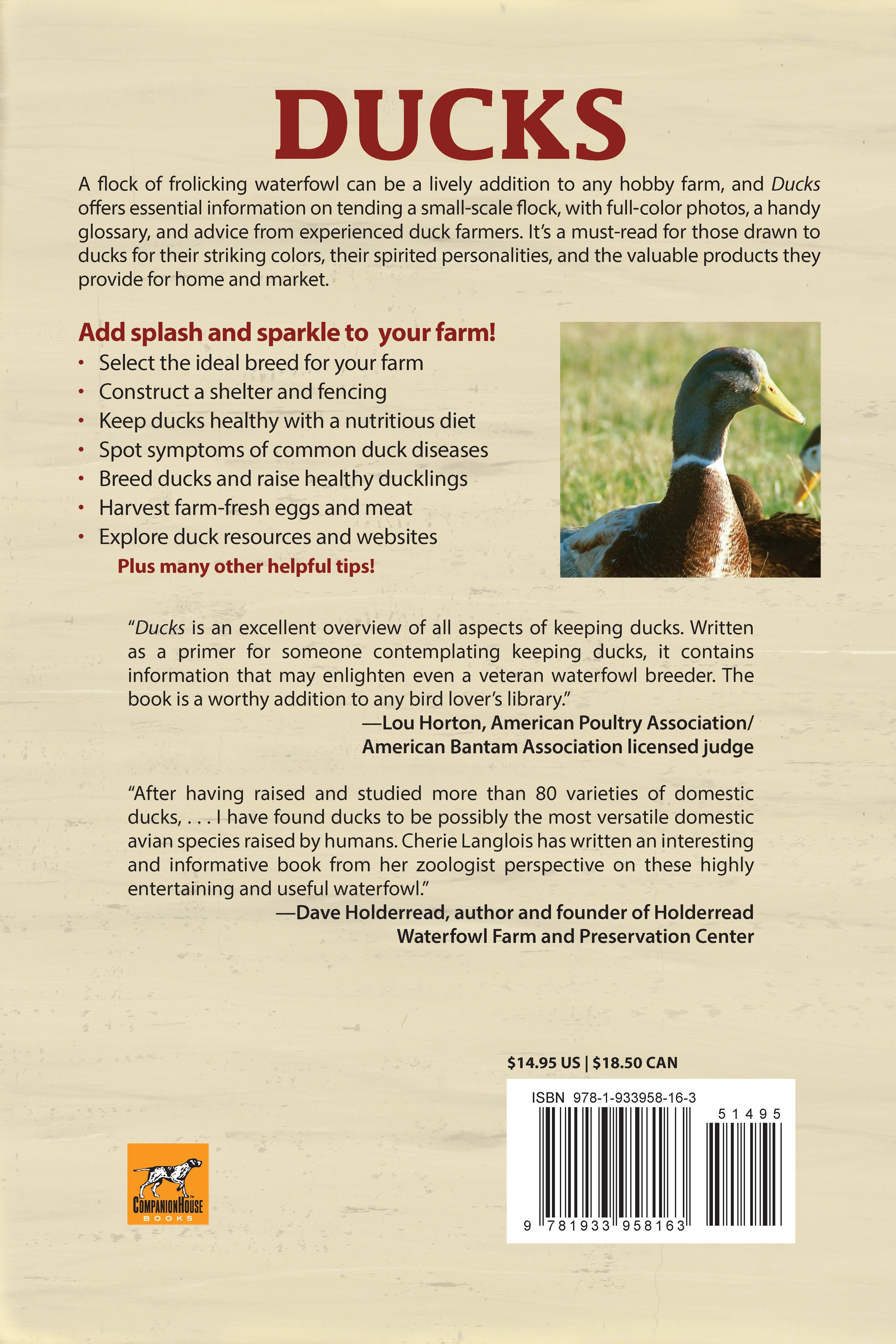 Ducks - Image 7
