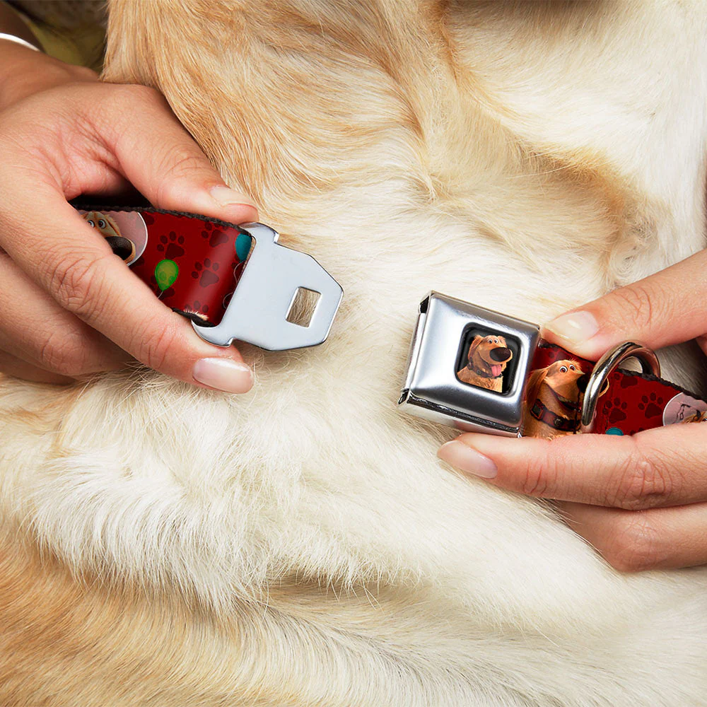 Dug Tongue Out Pose Full Color Black Seatbelt Buckle Collar - Dug 4-Poses/Balloons/Paw Print Reds - Image 8