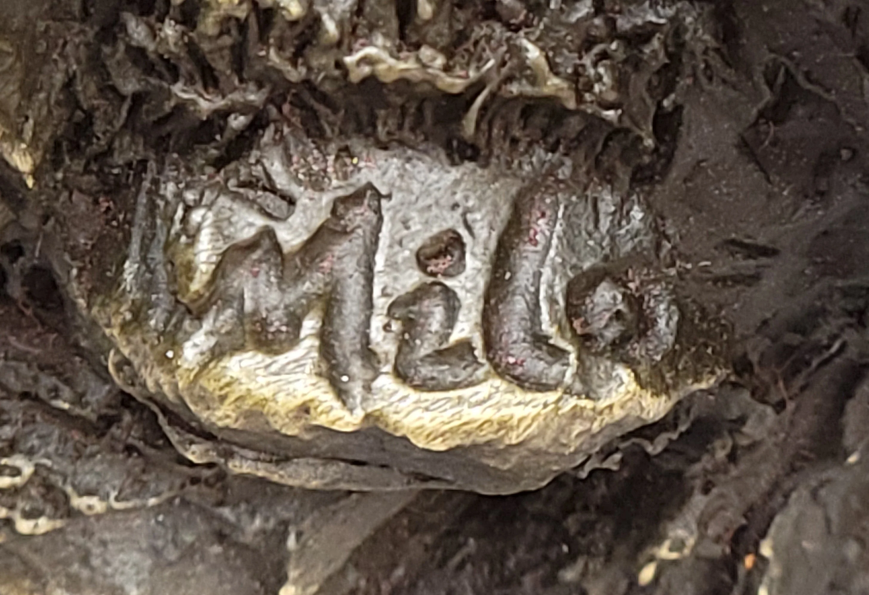 Eagles & Bear Hunting Fish Original Bronze Sculpture Statue Art by Milo on Marble Base - Image 9