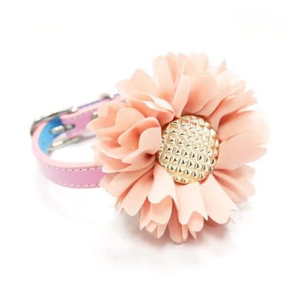EasyBOW Flower 1 - Image 13